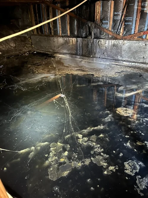 Flooded basement with water reflecting beams and insulation.