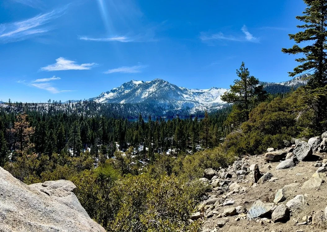 Mountain landscape with snow-covered peaks, forest, and a rocky trail under blue sky.