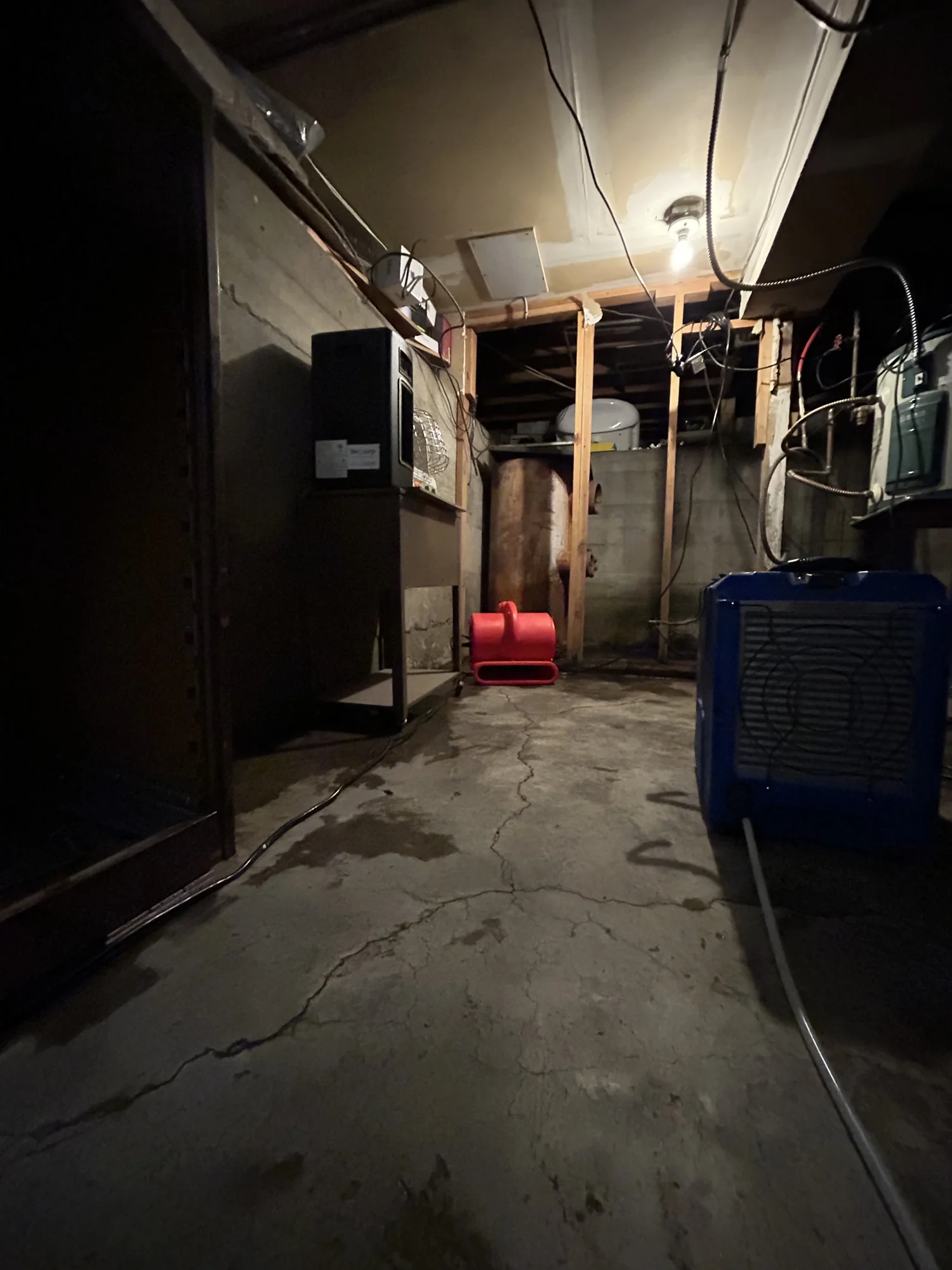 A basement on a Sierra Water & Mold job, with a blue air mover and red air blower drying the space.