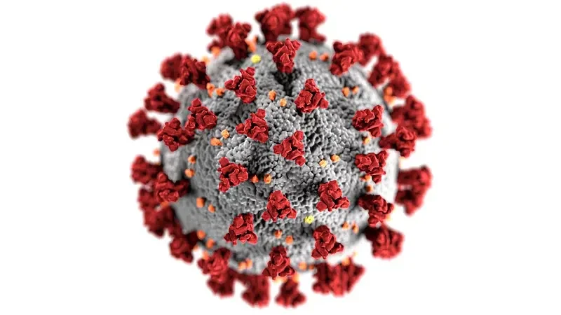 close-up image of hanta virus
