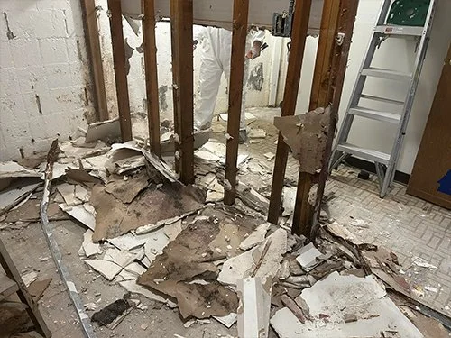 Image of controlled demolition of mold contaminated wall