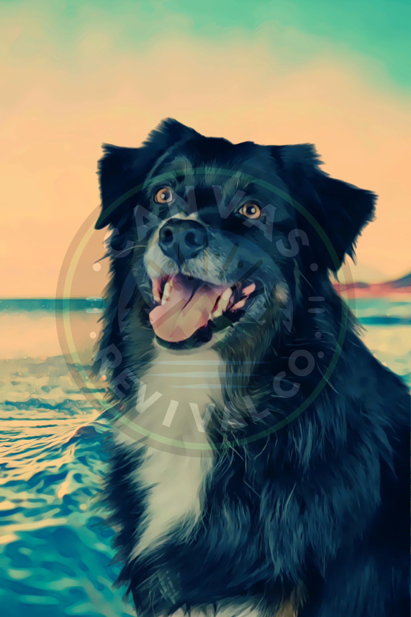 A digital illustration of a black and white dog, possibly a Border Collie mix, on a beach during sunset or sunrise, with the ocean and sky in the background.