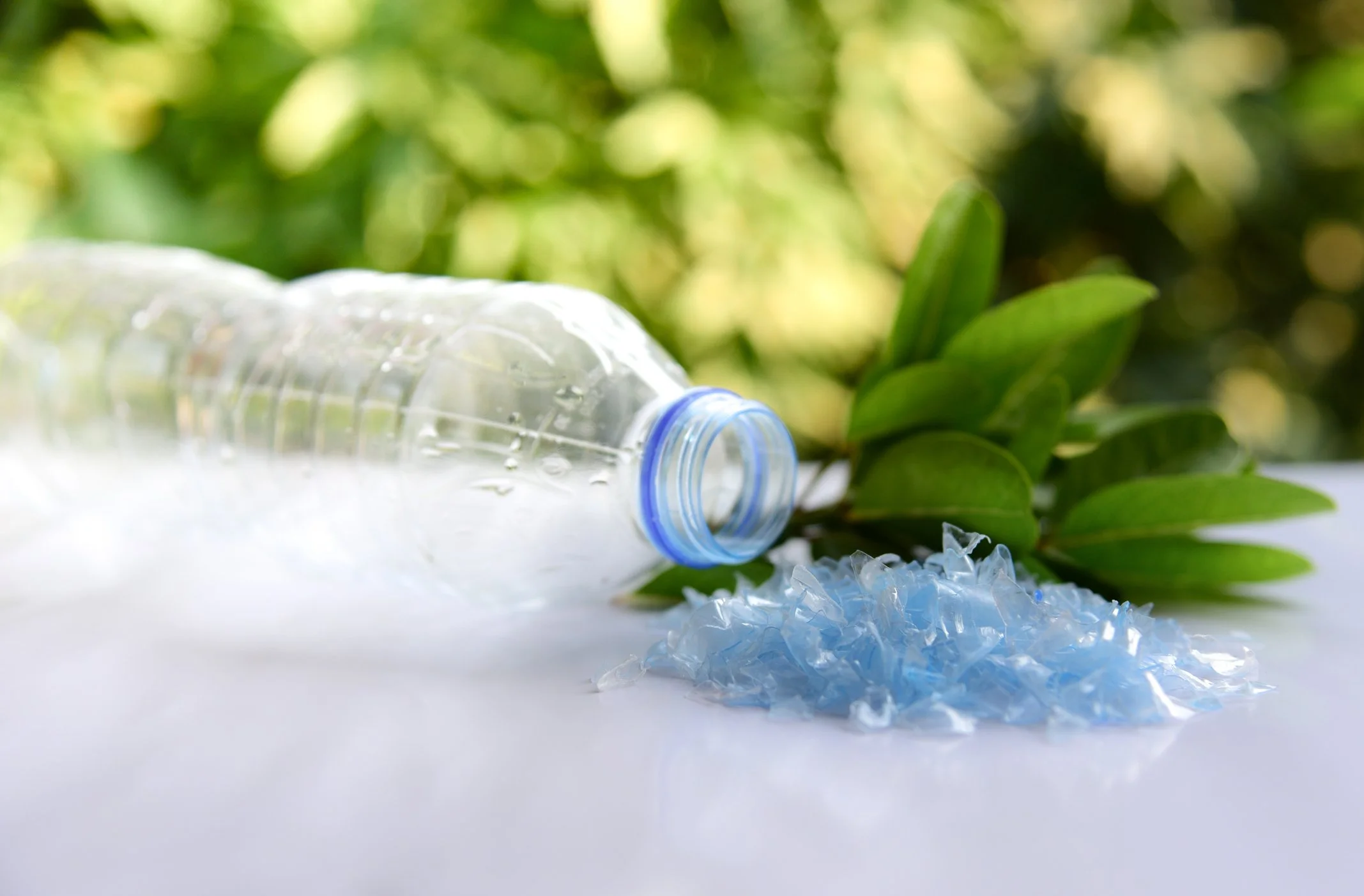 iStock-1172465245.jpg