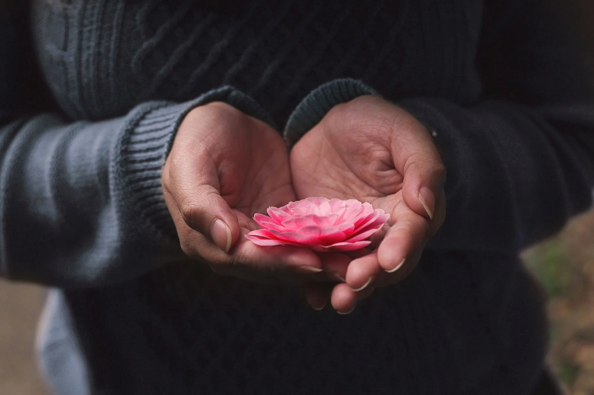 Debbie Radzinsky, LCSW Hand Holding Flower: Licensed Psychotherapist in Austin Texas and New York