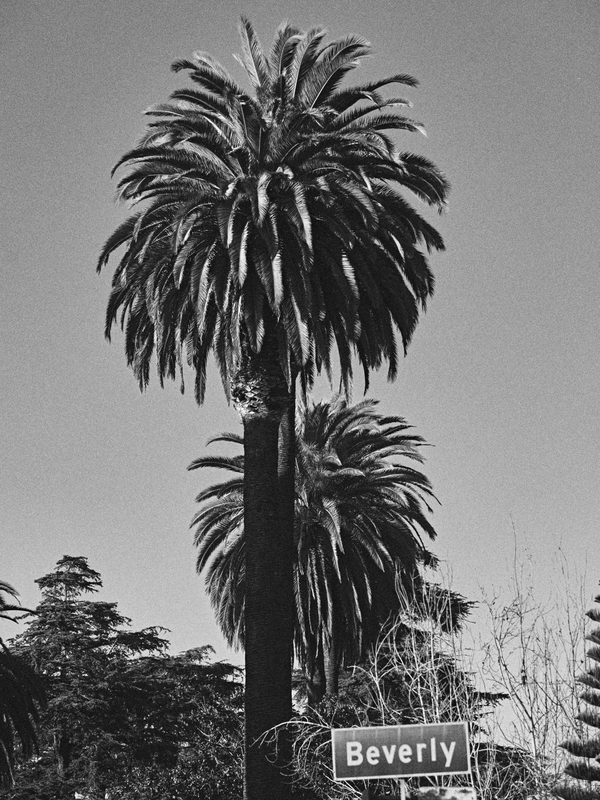 0061_01_7283 1.jpg