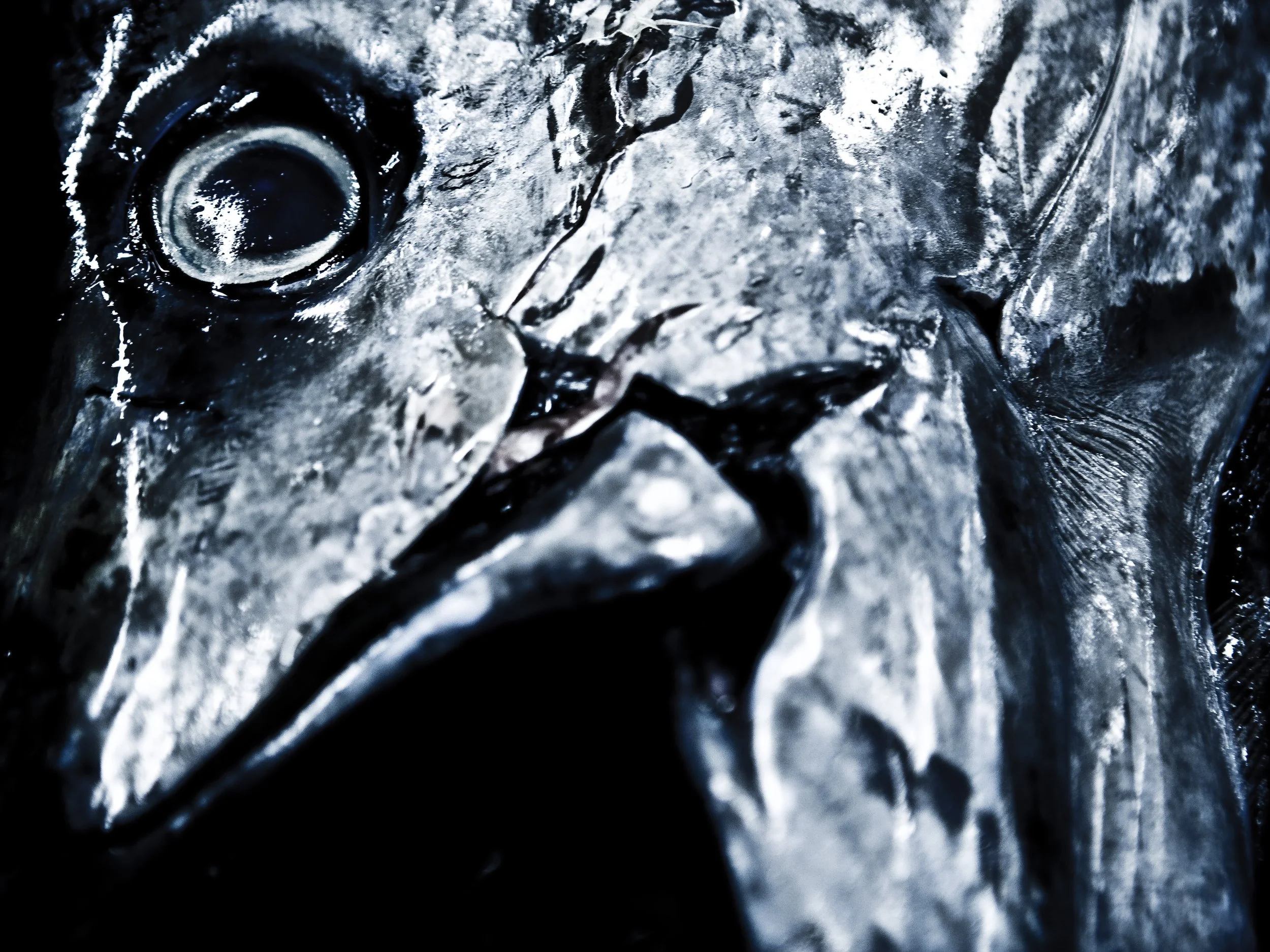 007_MG_3051.jpg