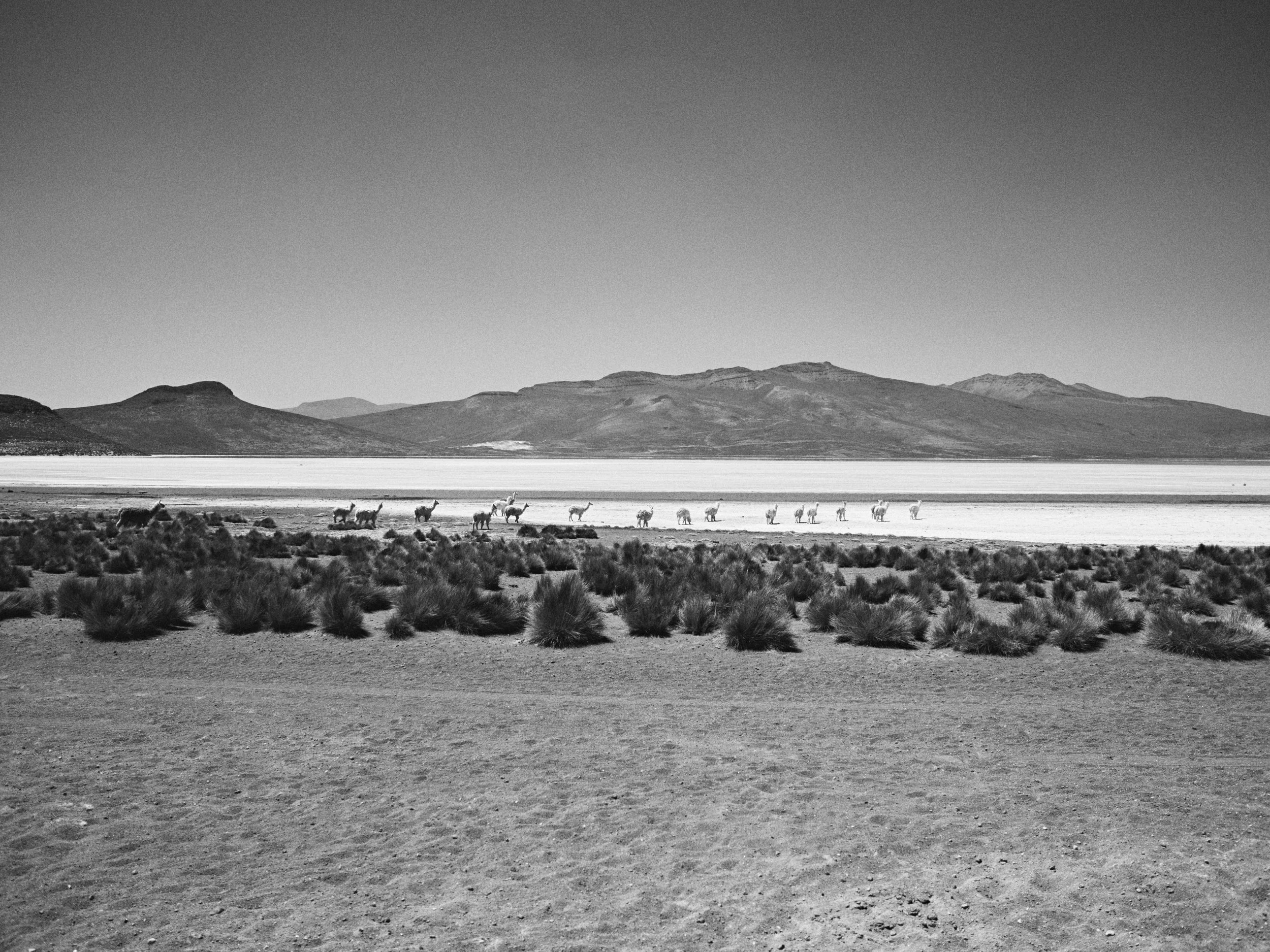 PERU_0120.jpg