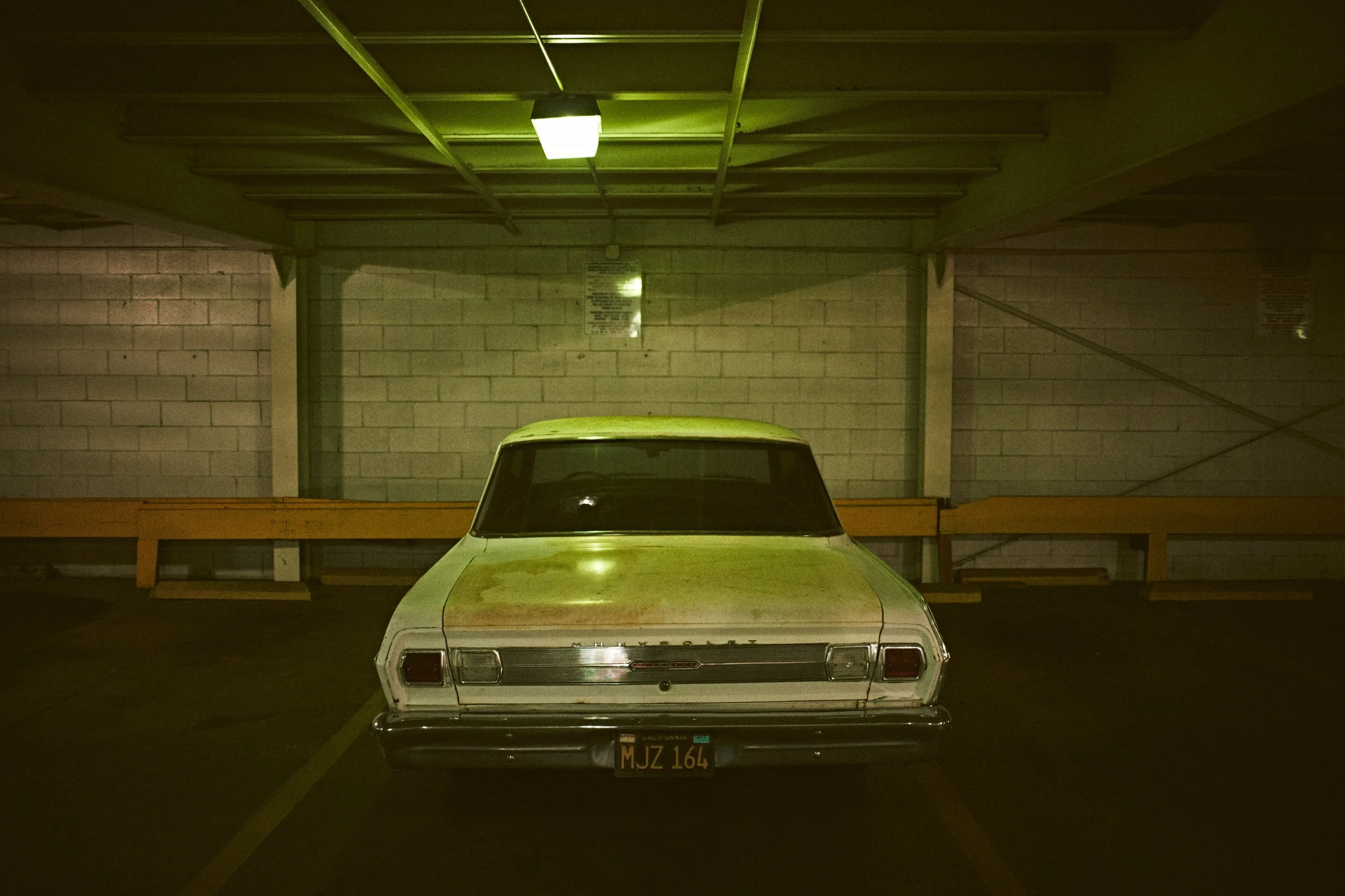 0011_LAM4542.jpg