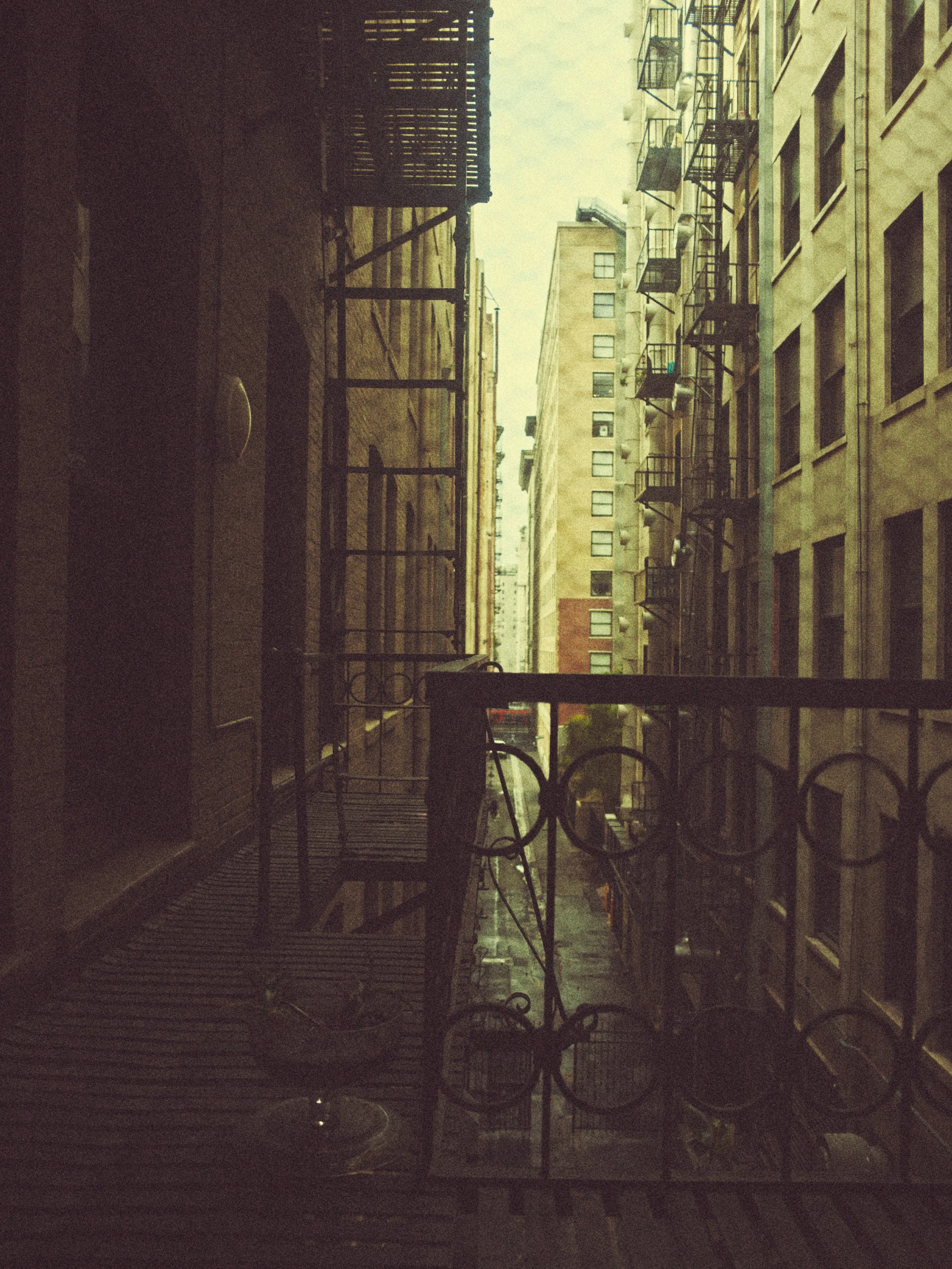 0086_73A9429.jpg
