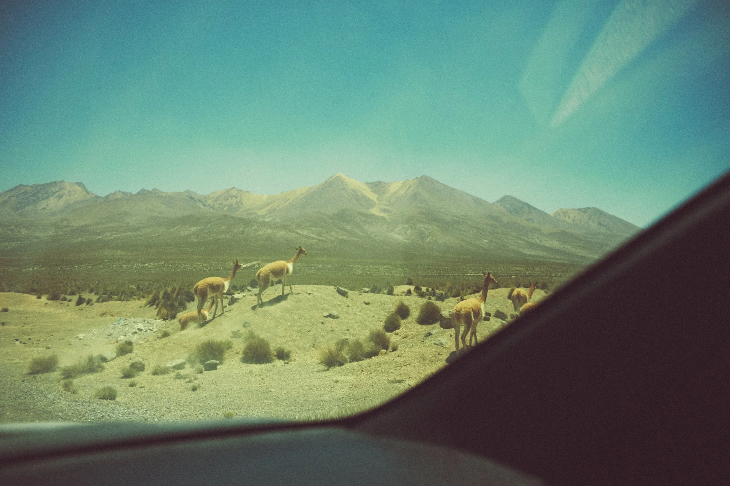 PERU_0114.jpg