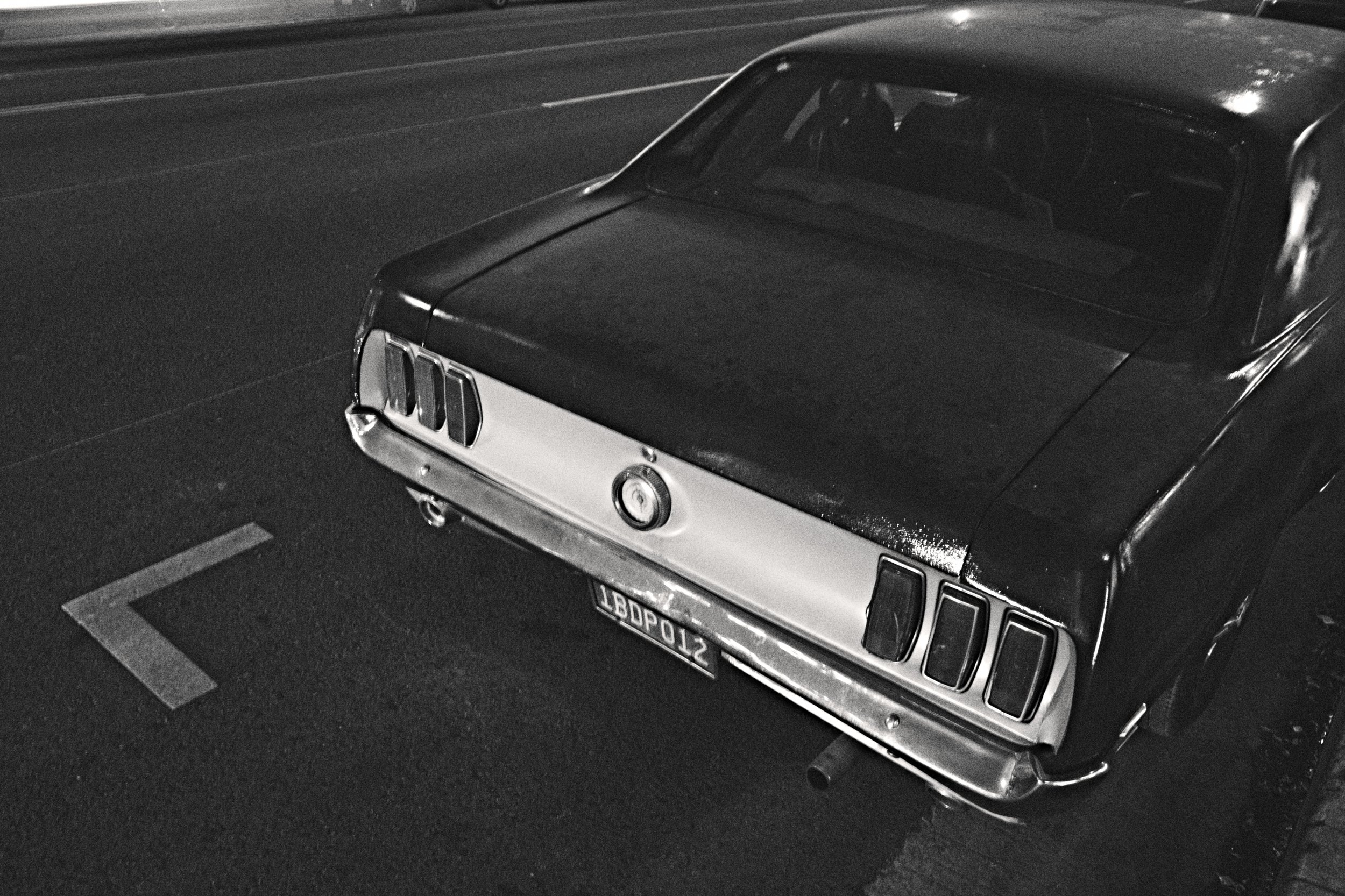 0053_LAM4586.jpg