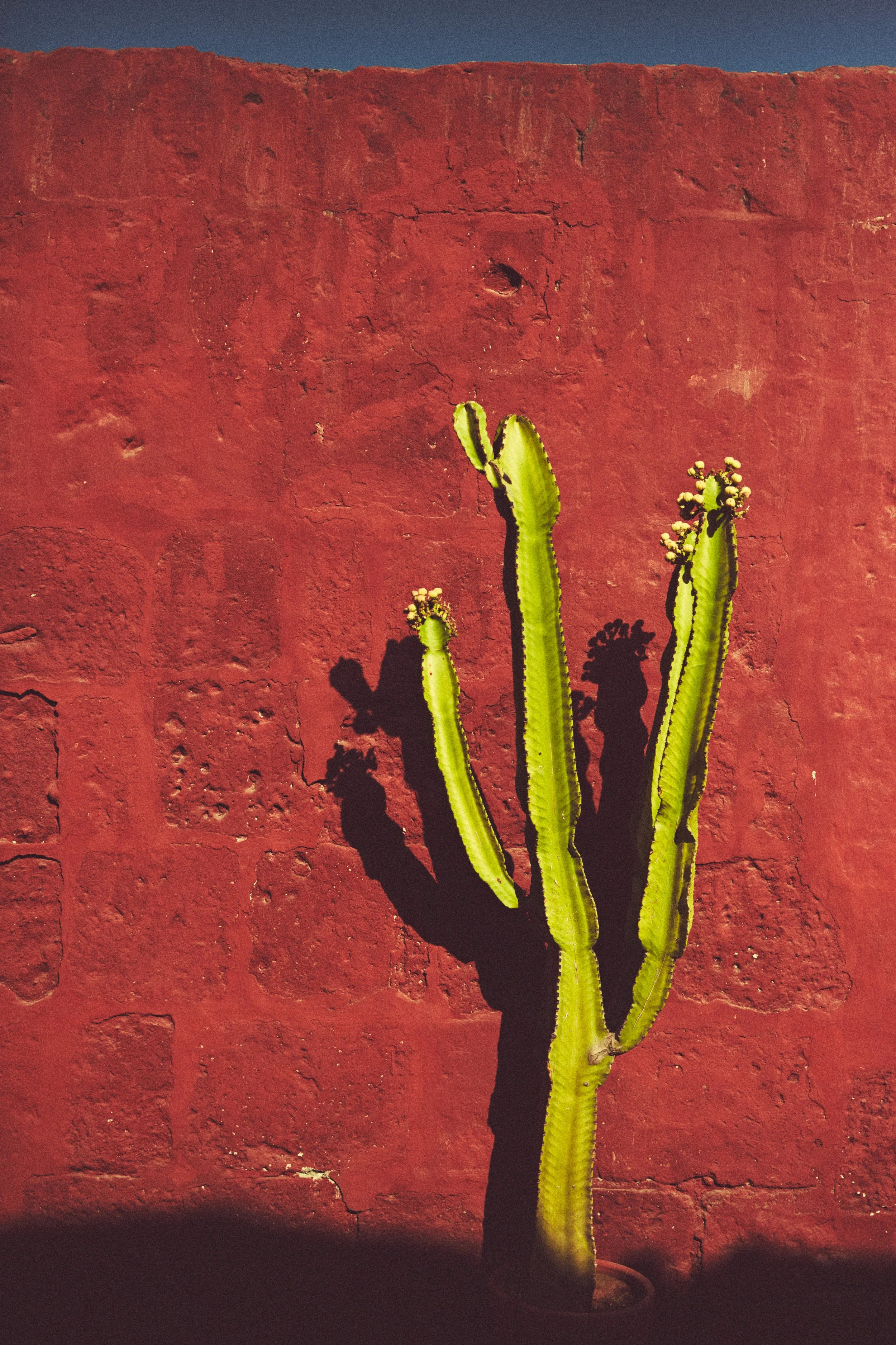 PERU_0098.jpg
