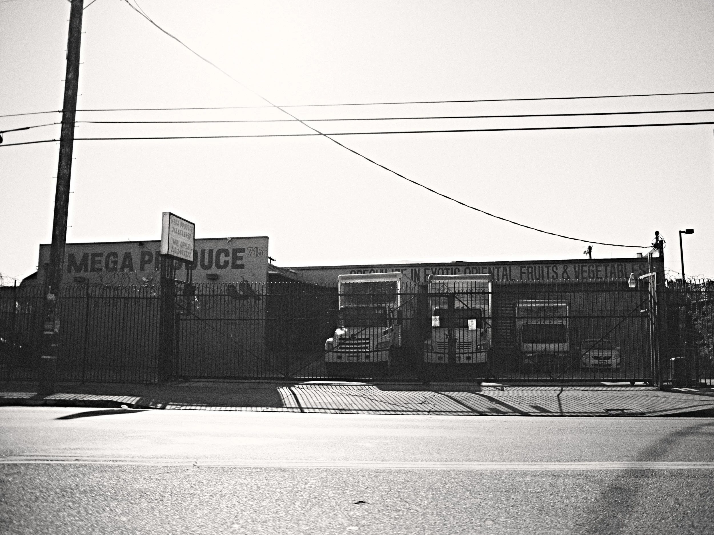 0071_LAM4648.jpg