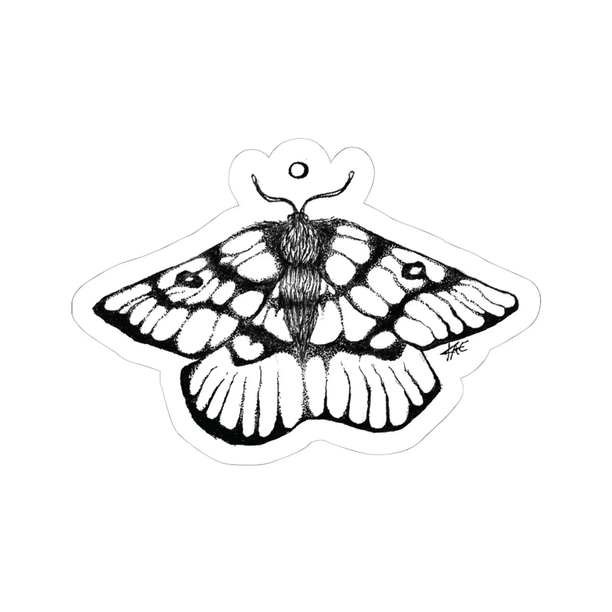 Front, 6_ × 6_, White.jpg