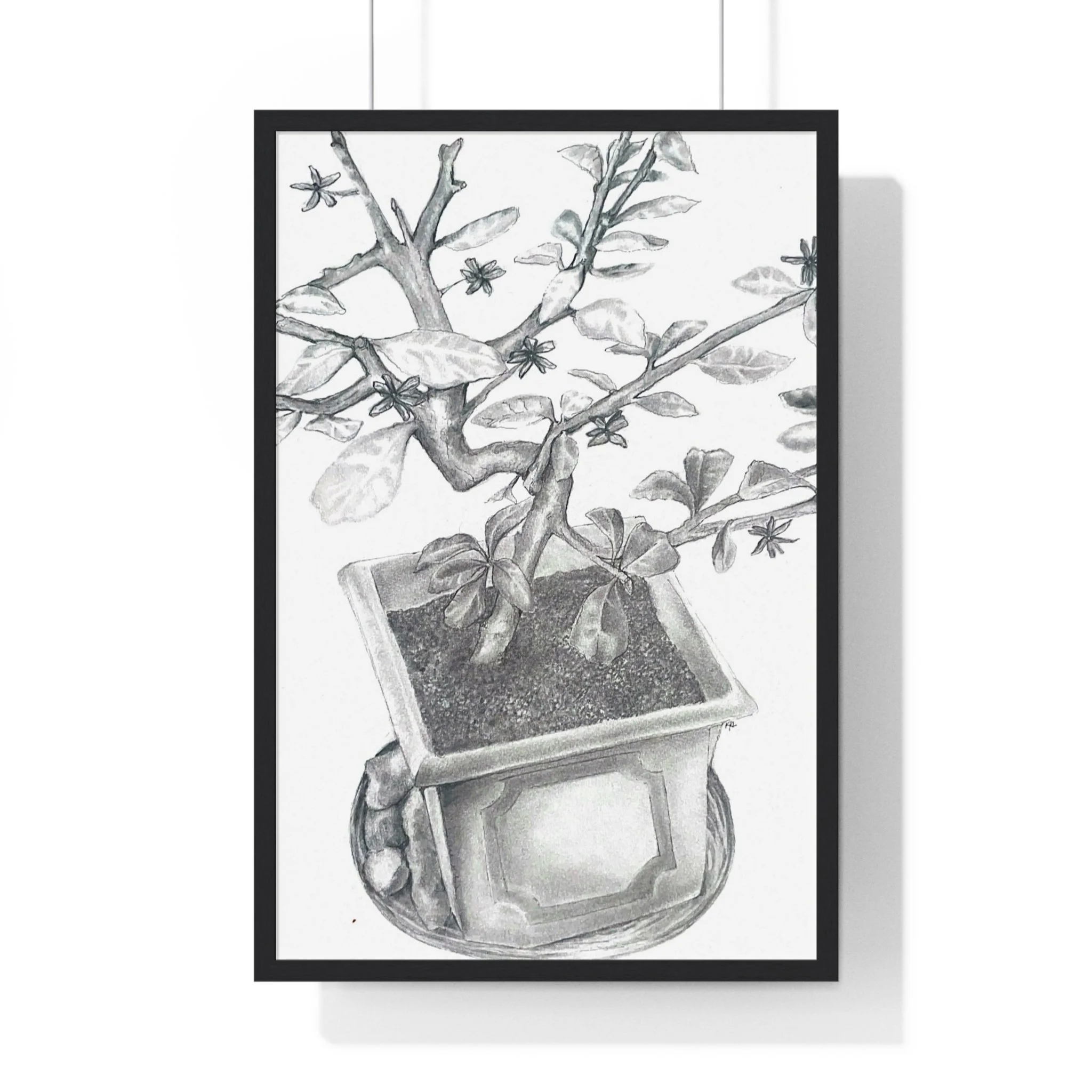 Front, 20_ x 30_, Black.jpg