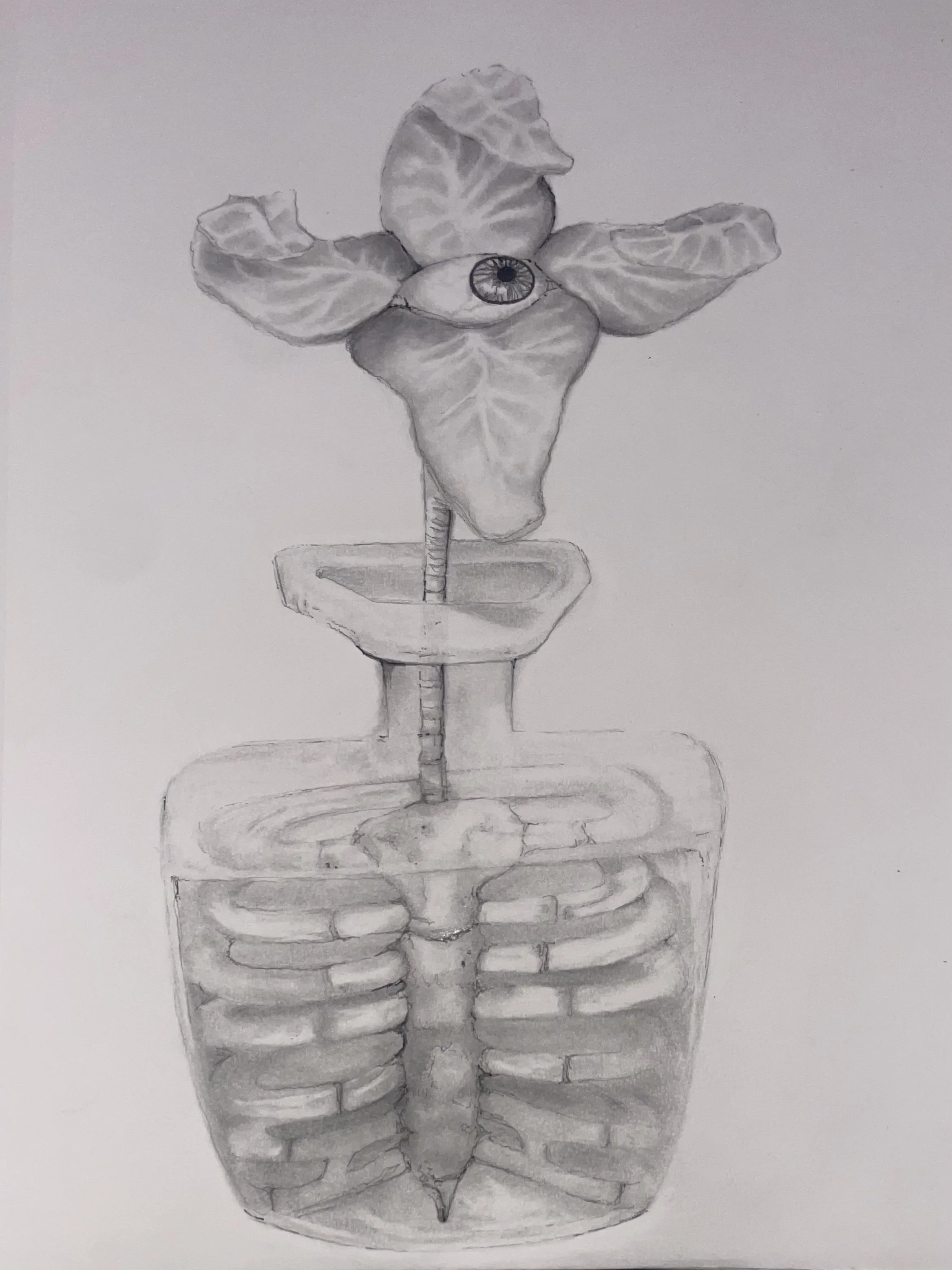 FullSizeRender 3.jpg