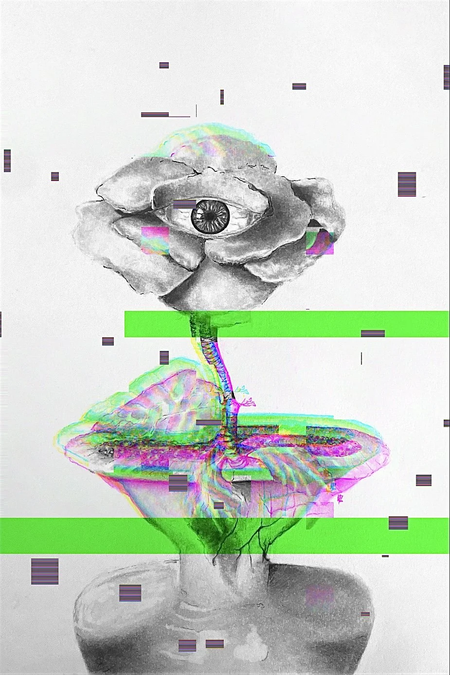 The Fragment (6).JPG