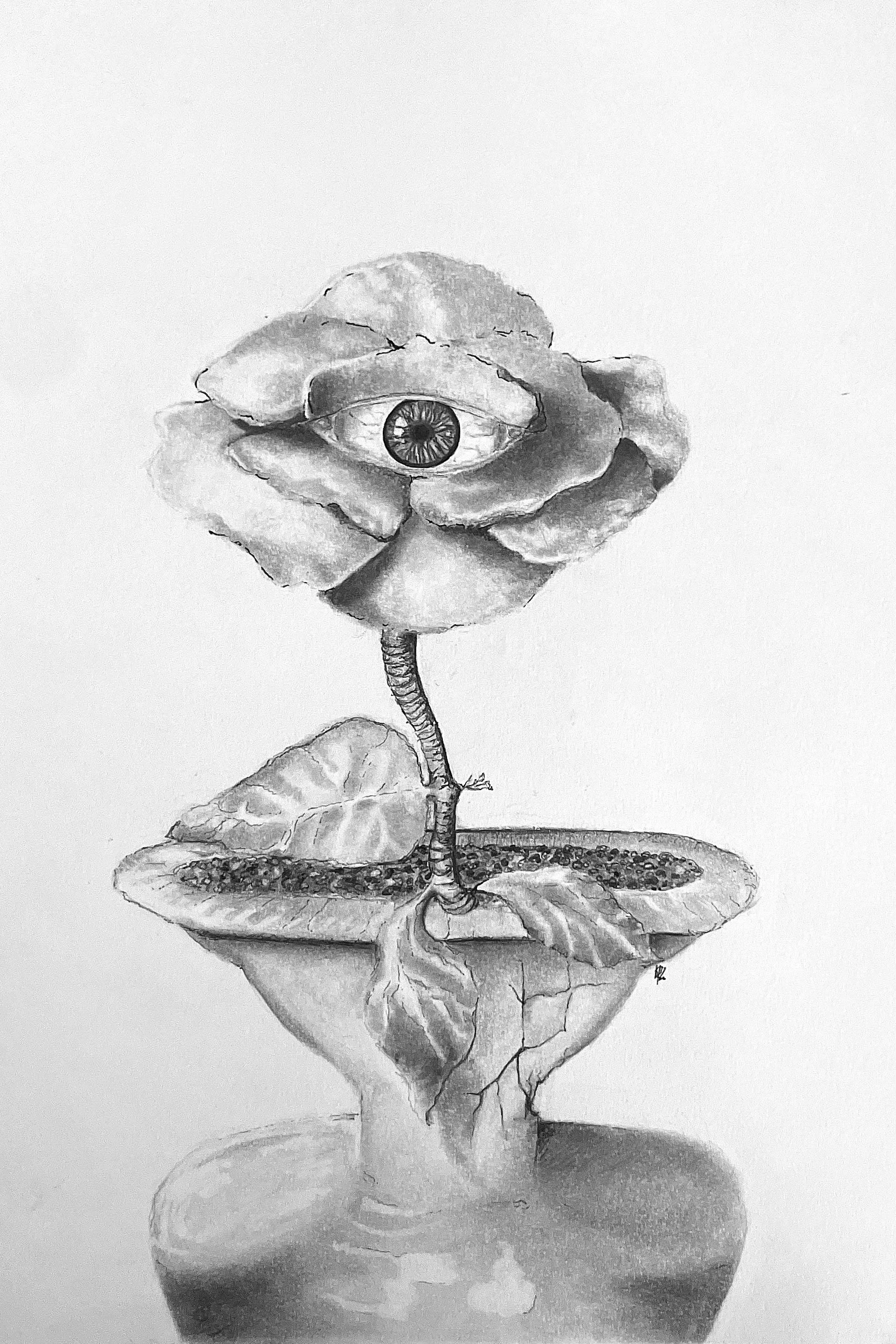 The Fragment (1).jpeg