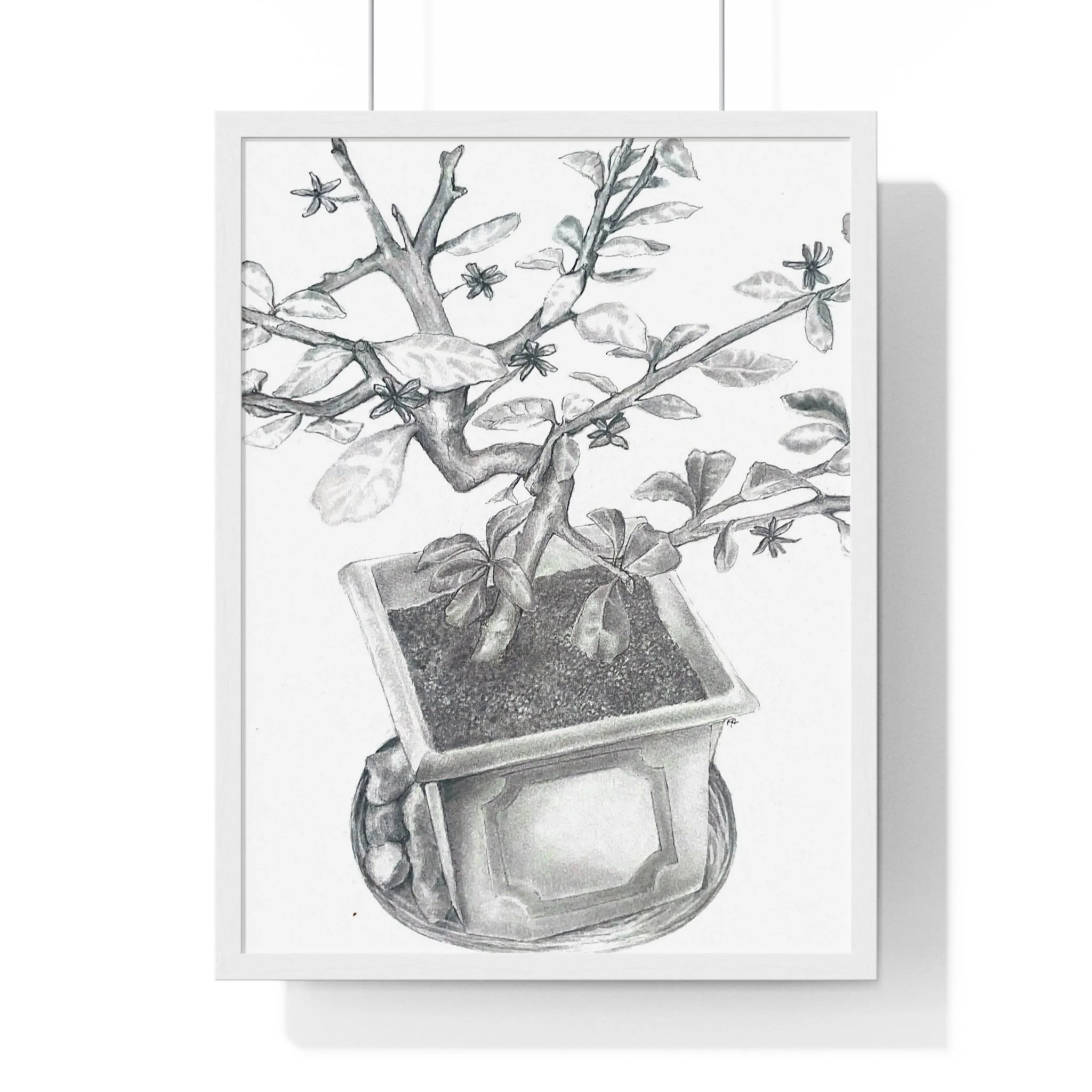 Front, 18″ x 24″, White.jpg