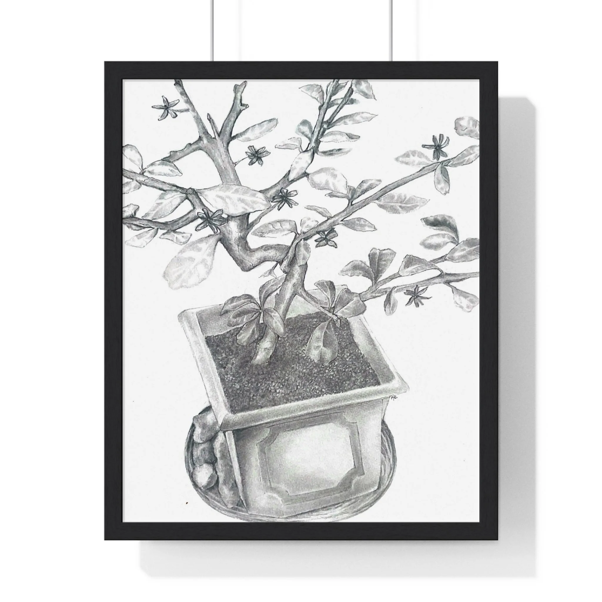 Front, 16_ x 20_, Black.jpg