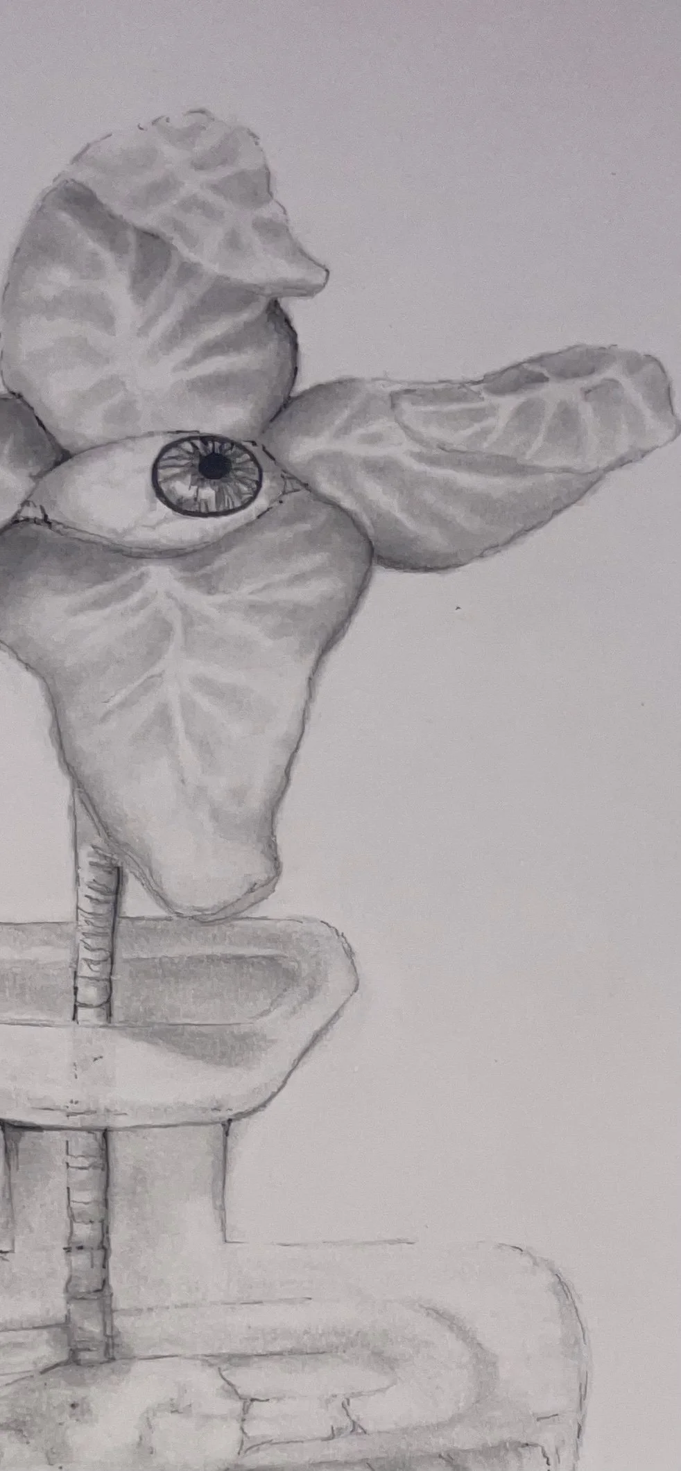 FullSizeRender 2.jpg