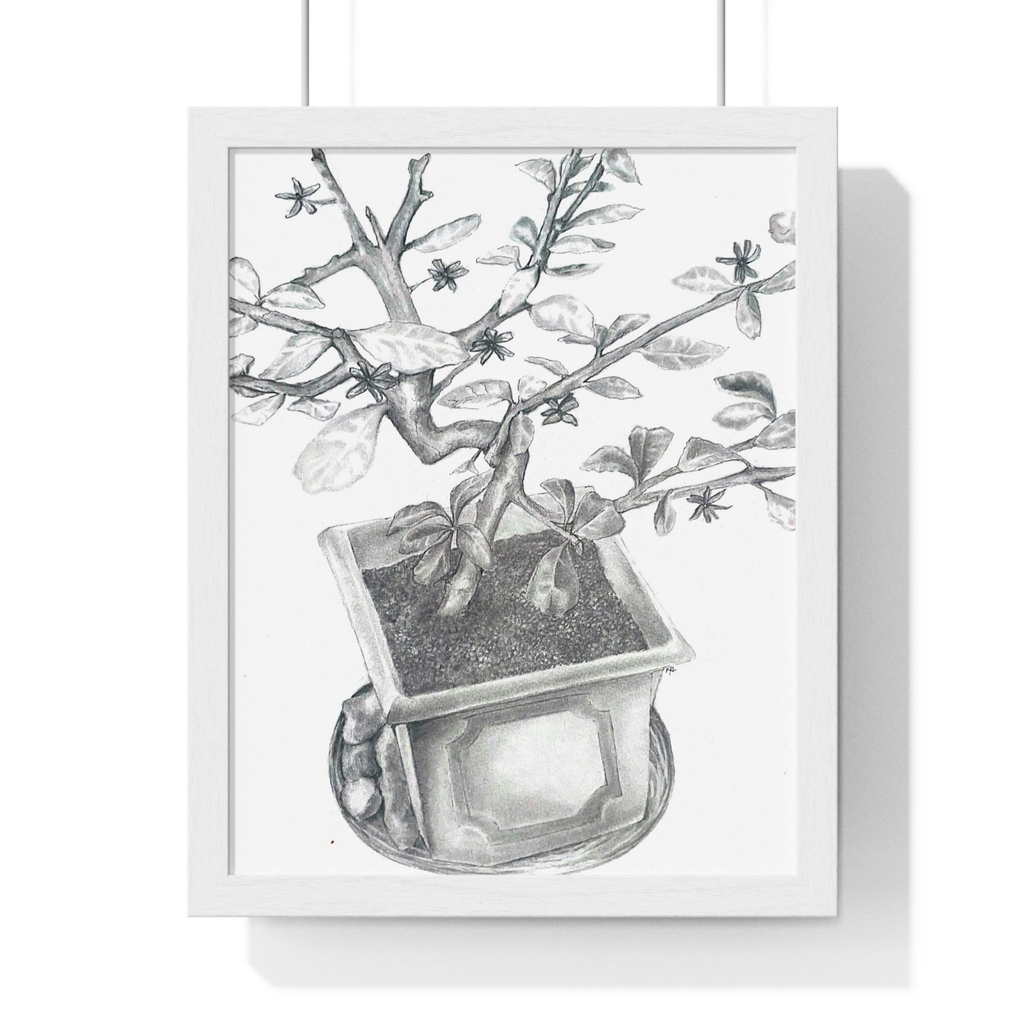 Front, 11″ x 14″, White.jpg