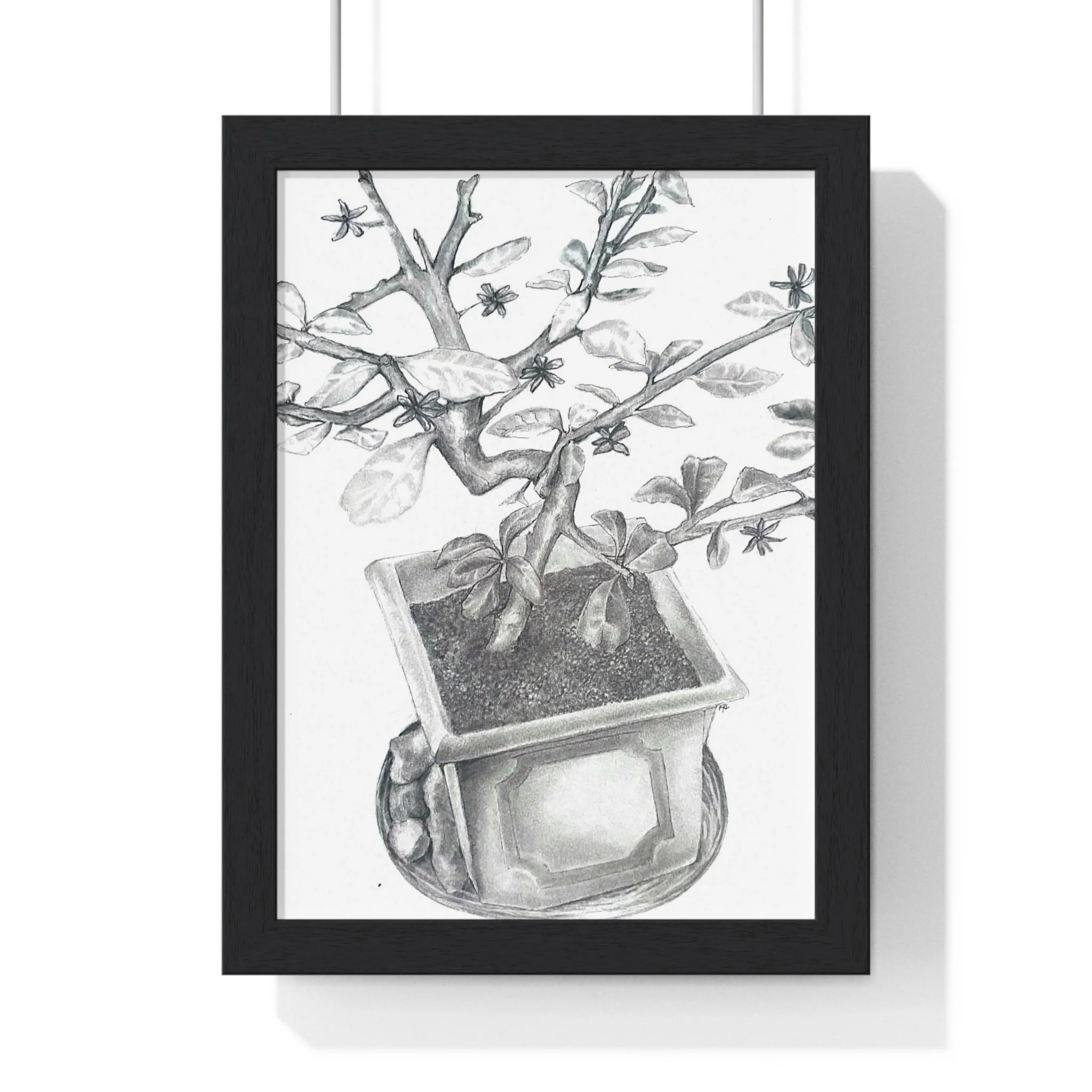 Front, 8_ x 11_, Black.jpg