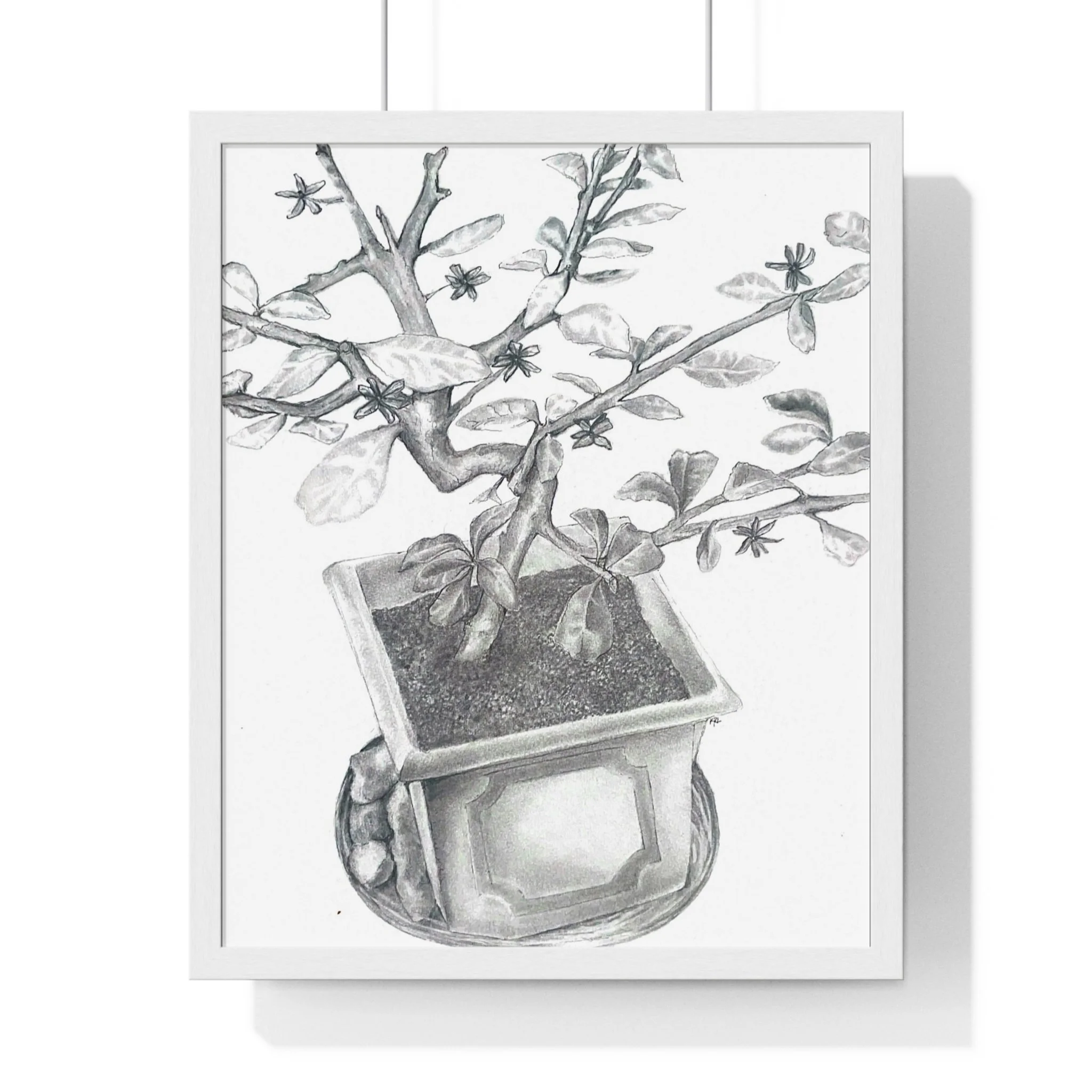 Front, 16_ x 20_, White.jpg