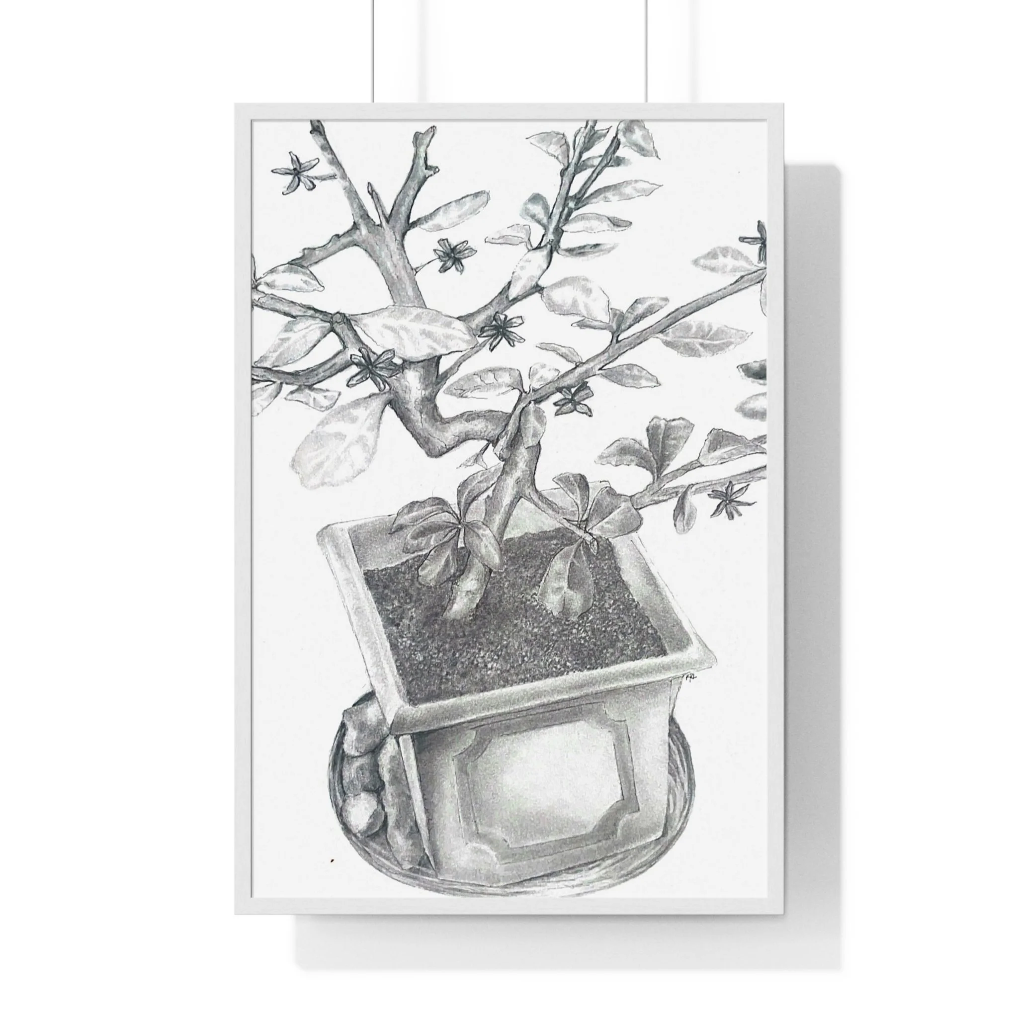 Front, 24″ x 36″, White.jpg