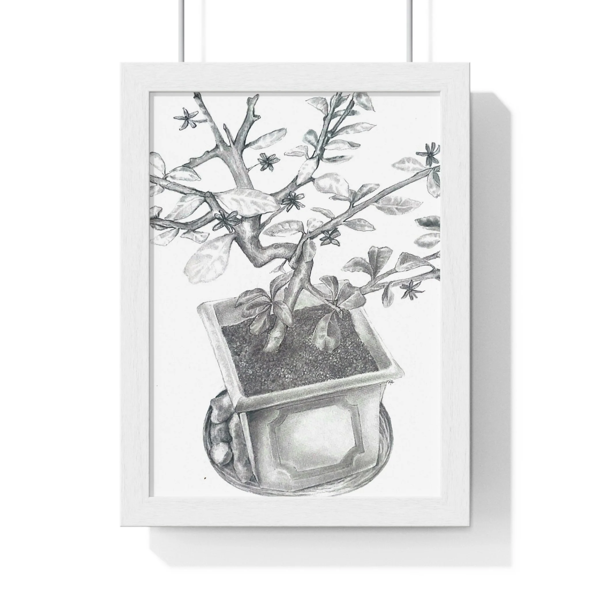 Front, 8_ x 11_, White.jpg