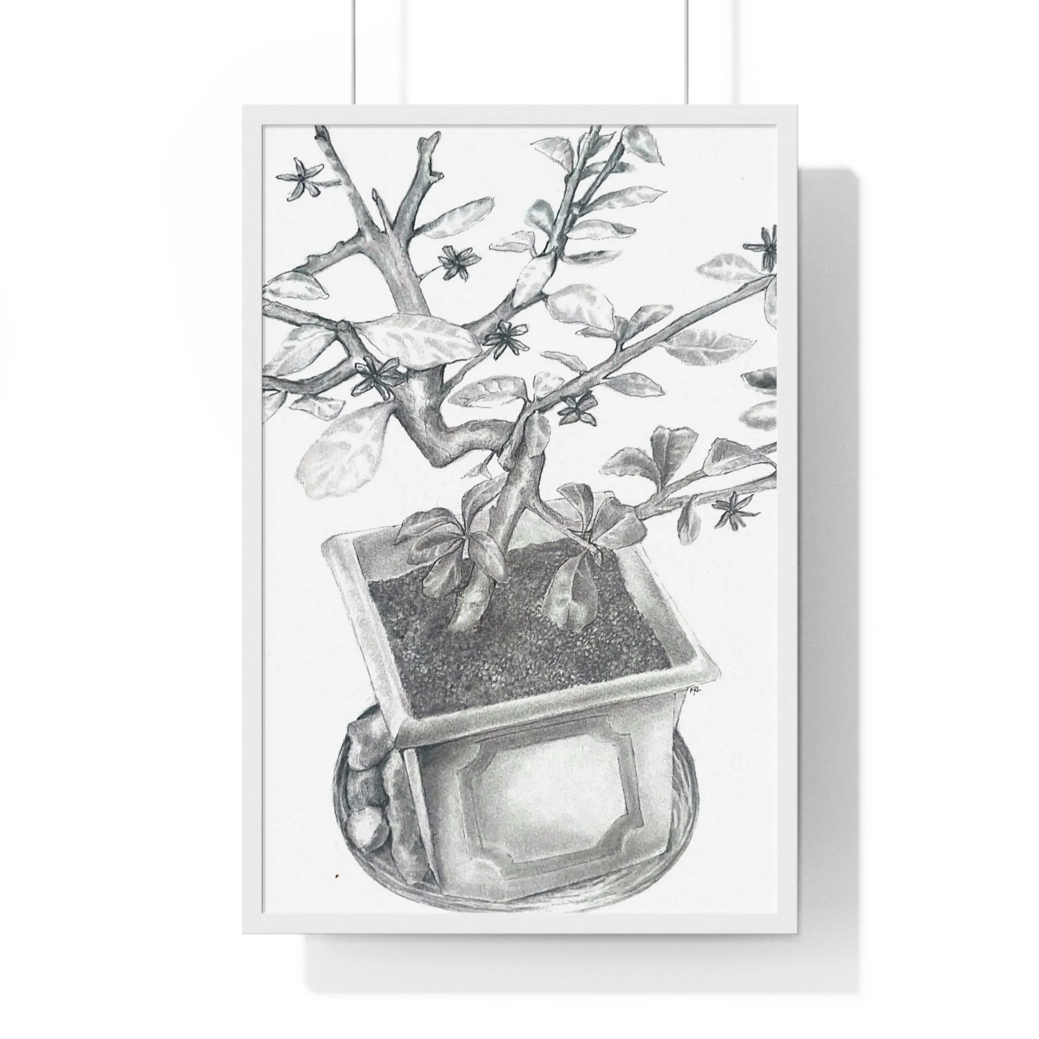 Front, 20_ x 30_, White.jpg