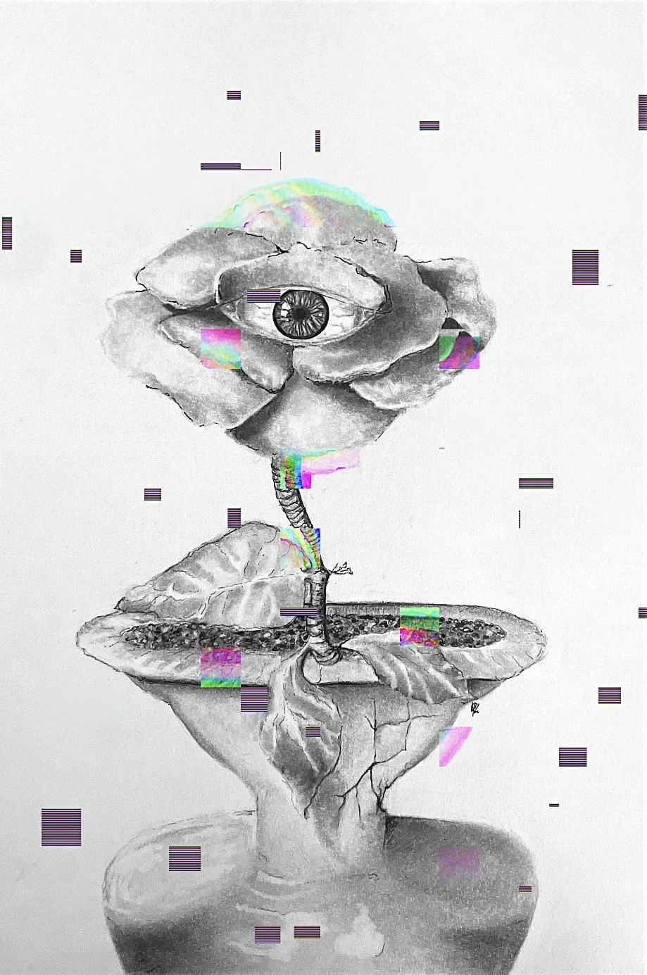 The Fragment (7).JPG