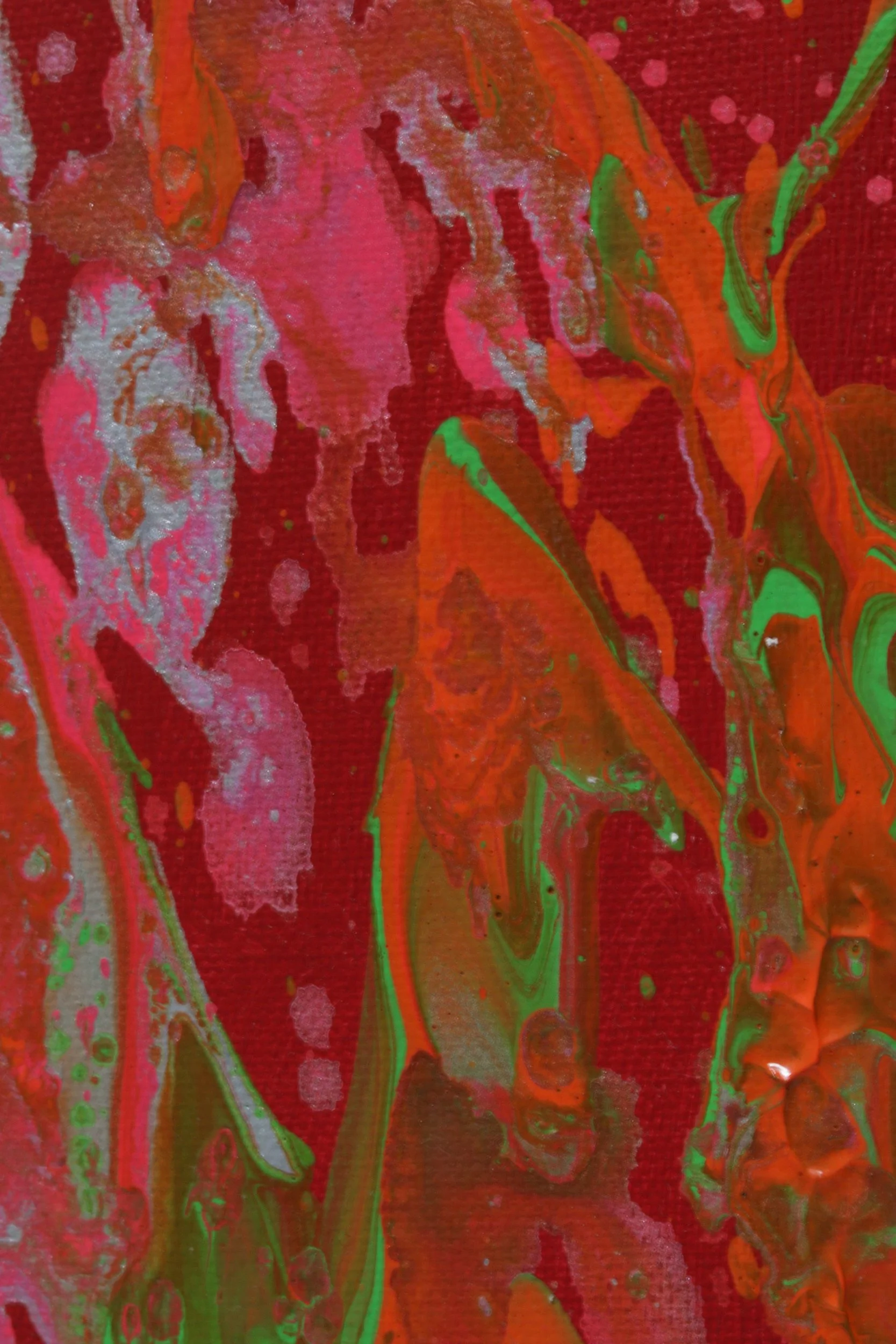 IMG_5916.png