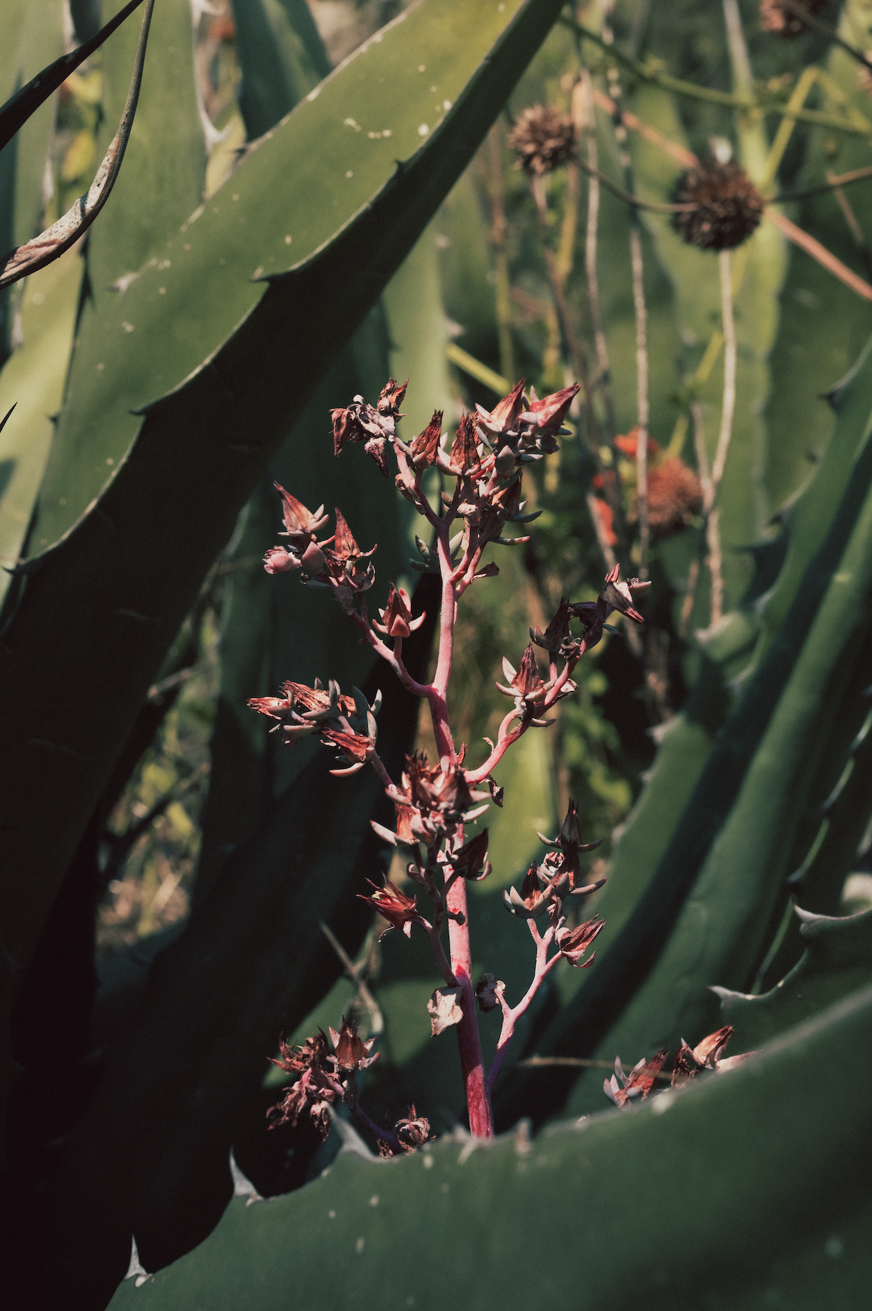 Captura de pantalla 2026-03-19 a la(s) 6.51.12 p.m..png