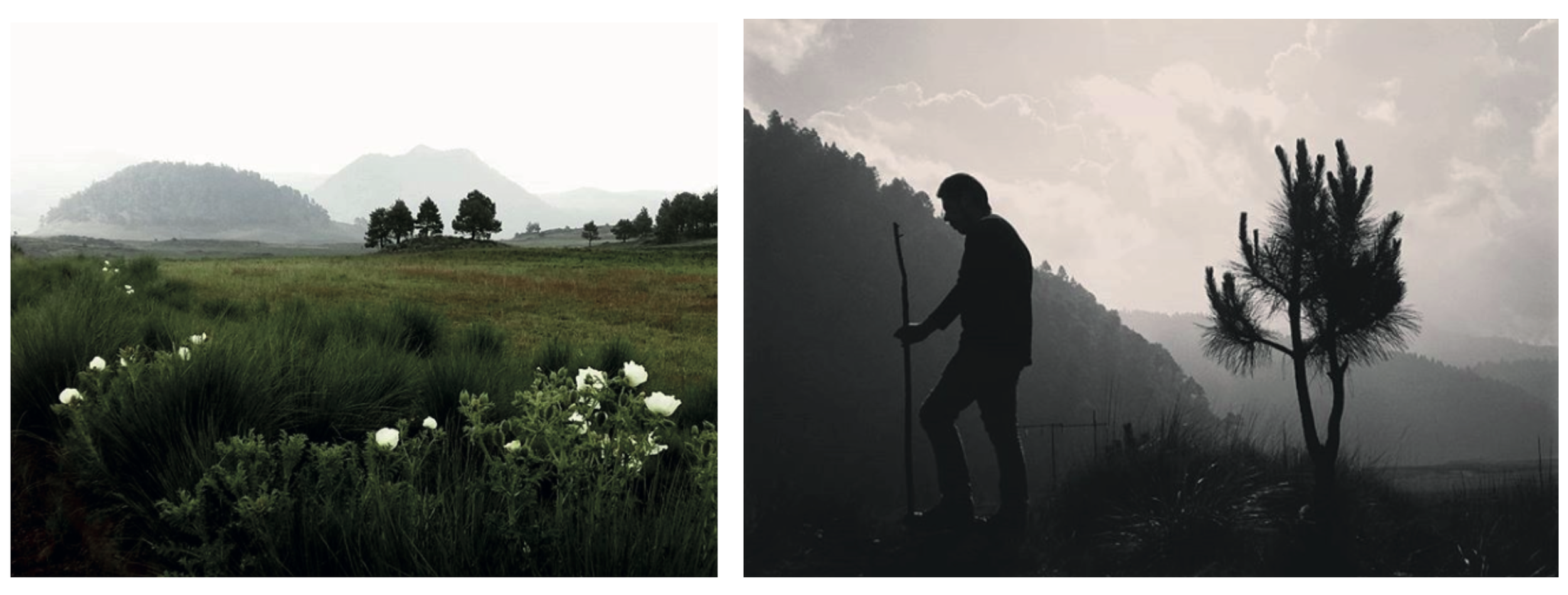 Captura de pantalla 2026-02-16 a la(s) 7.45.46 p.m..png