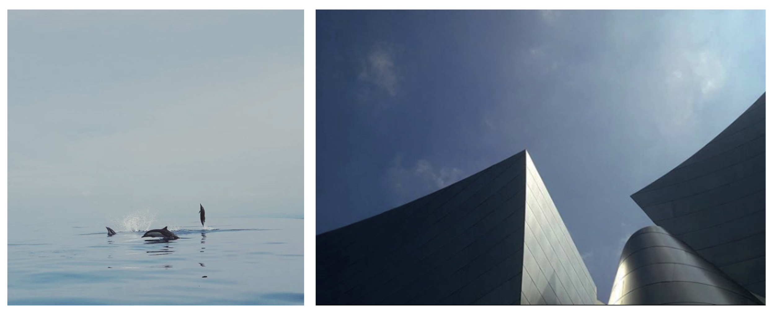 Captura de pantalla 2026-02-16 a la(s) 7.46.47 p.m..png