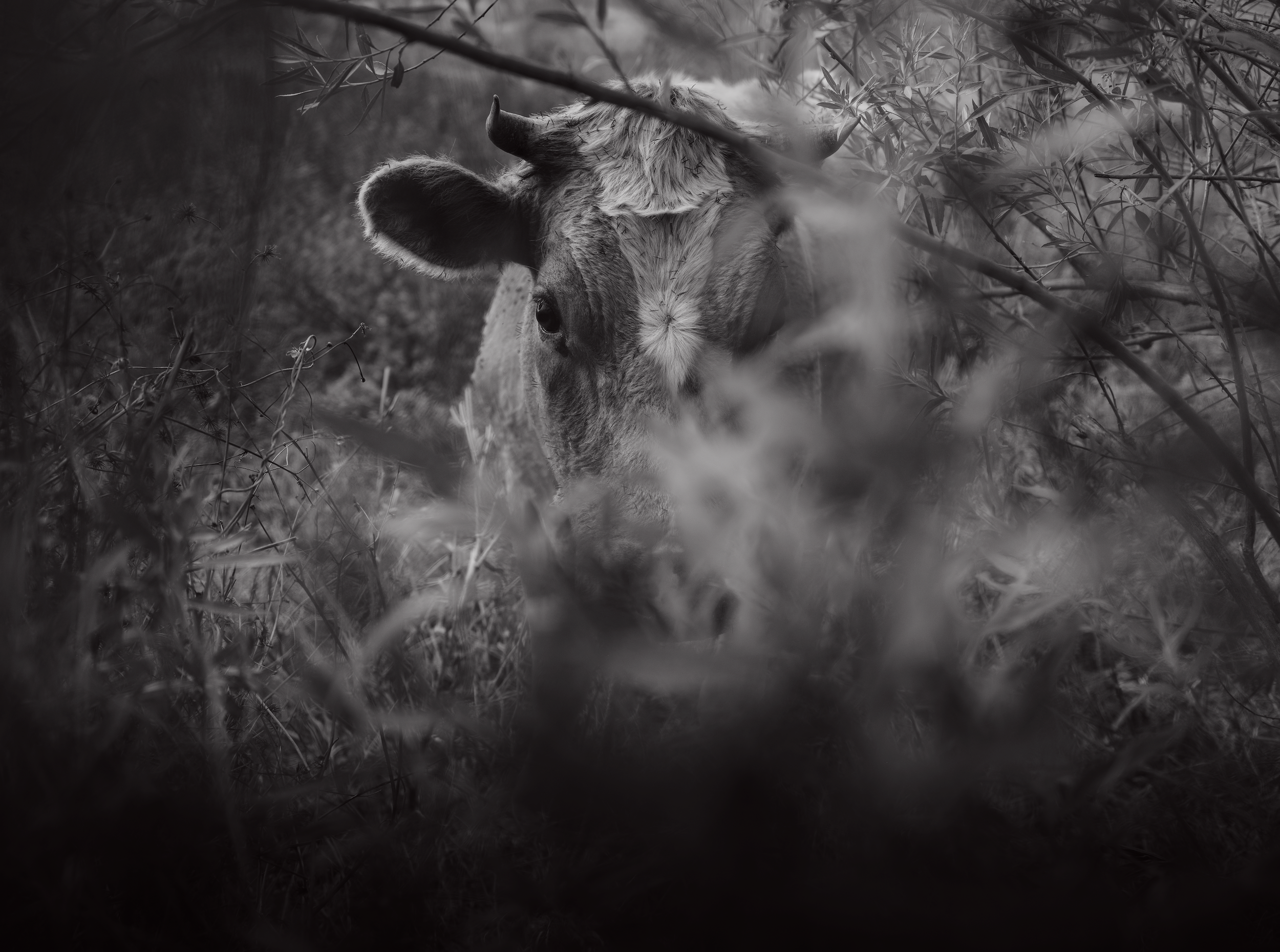 Captura de pantalla 2025-12-09 a la(s) 12.41.38 a.m..png