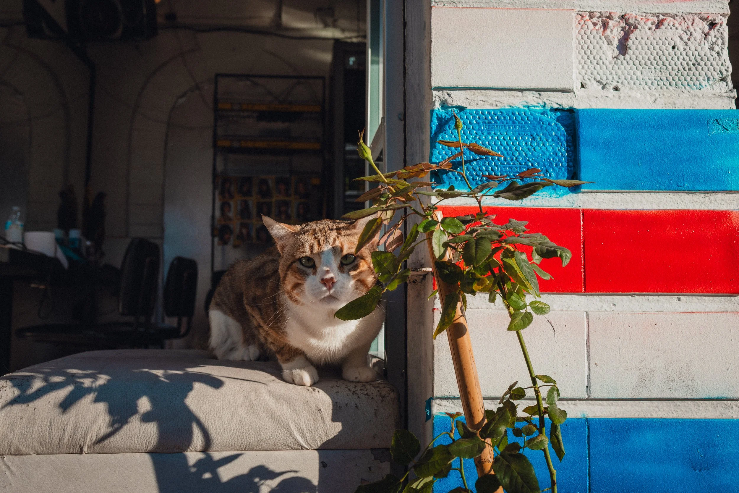 Noviembre CDMX-20Luz Montero.jpg