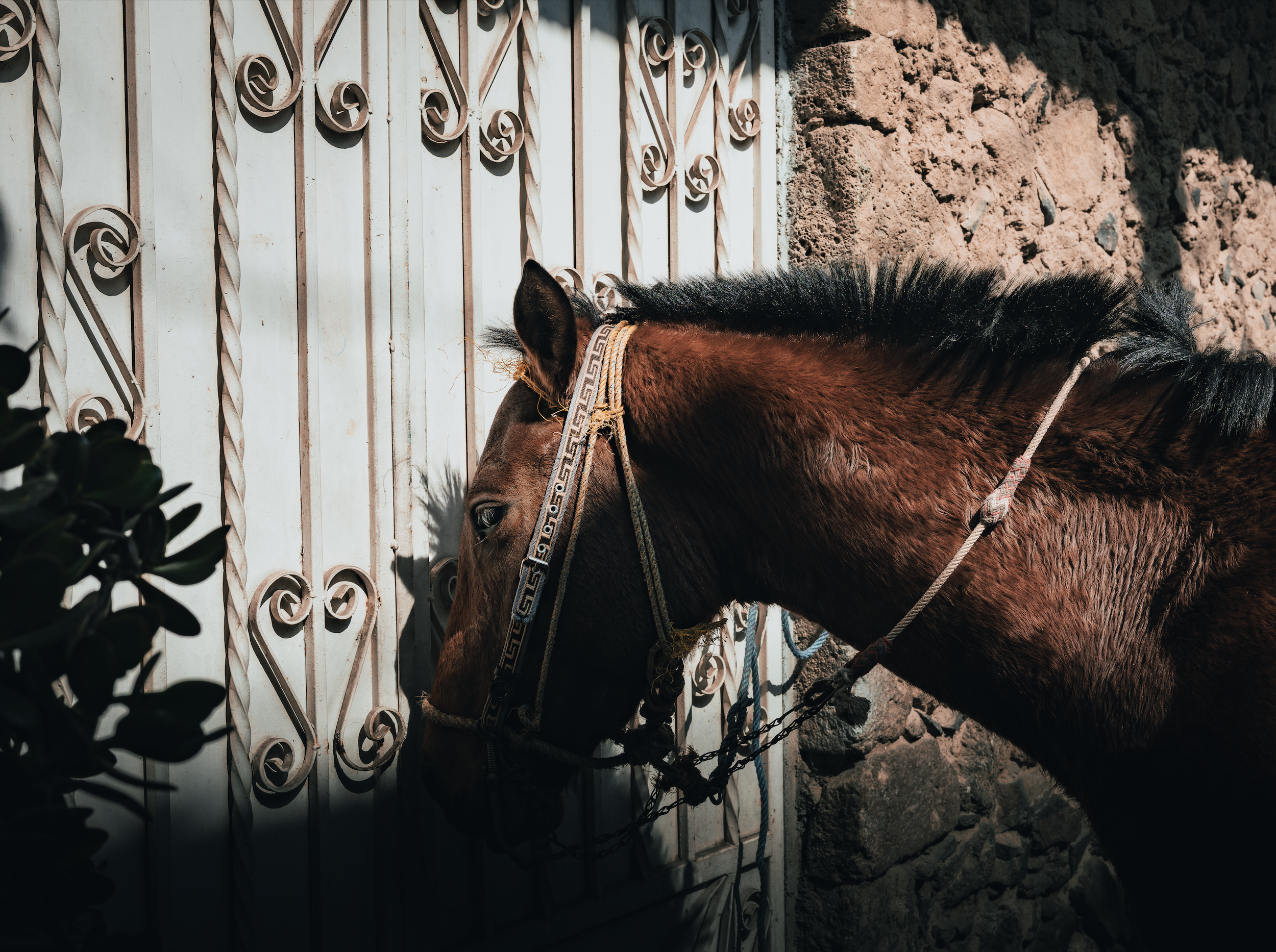 Captura de pantalla 2025-12-09 a la(s) 12.40.36 a.m..png