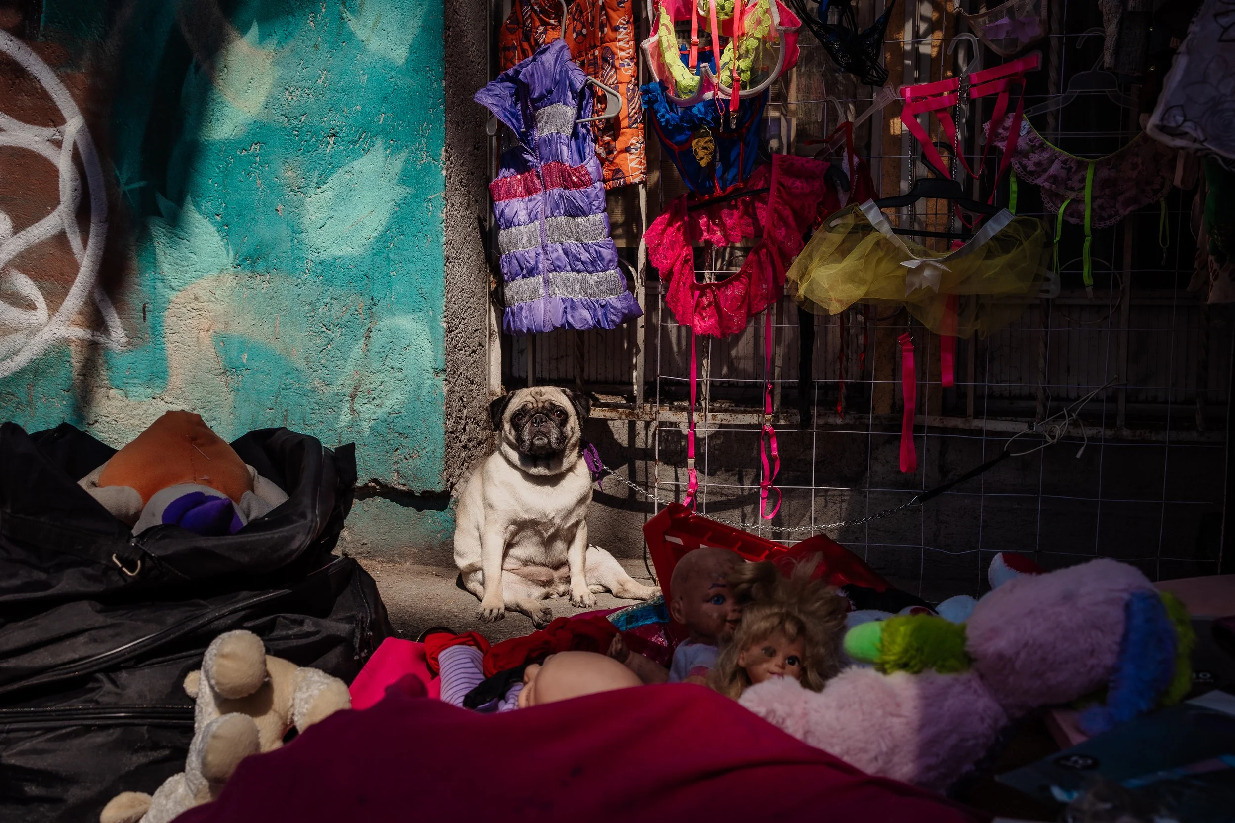 Noviembre CDMX-22Luz Montero.jpeg