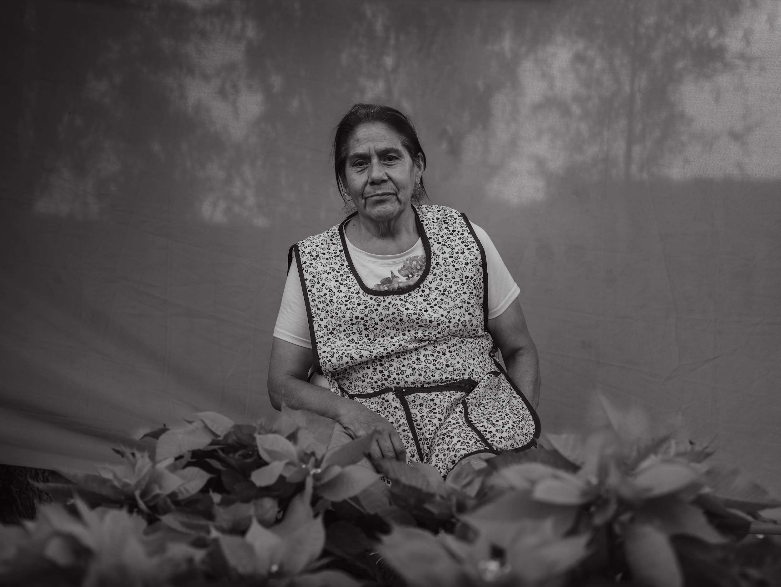 Captura de pantalla 2025-12-09 a la(s) 12.42.14 a.m..png