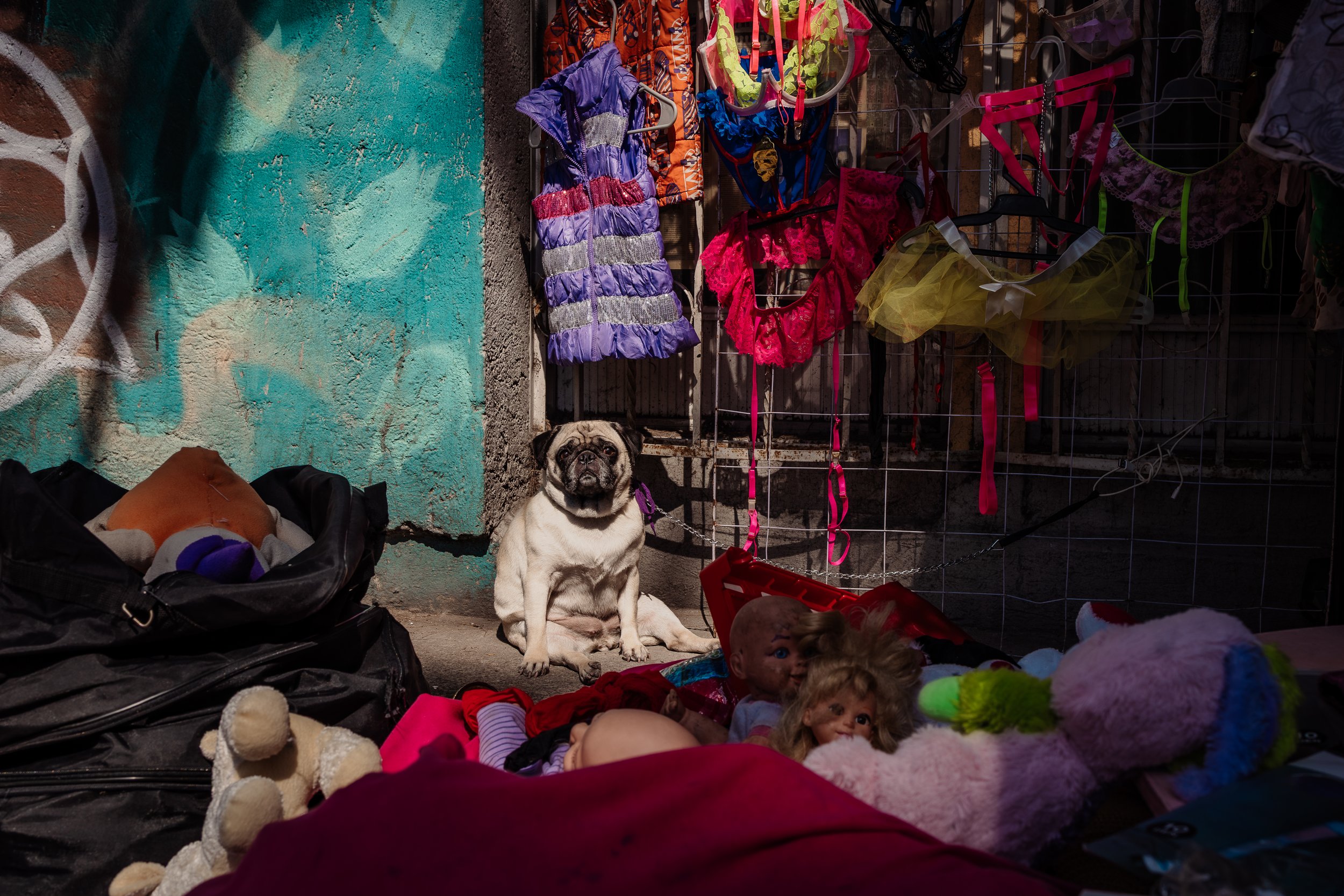 Noviembre CDMX-22Luz Montero.jpg