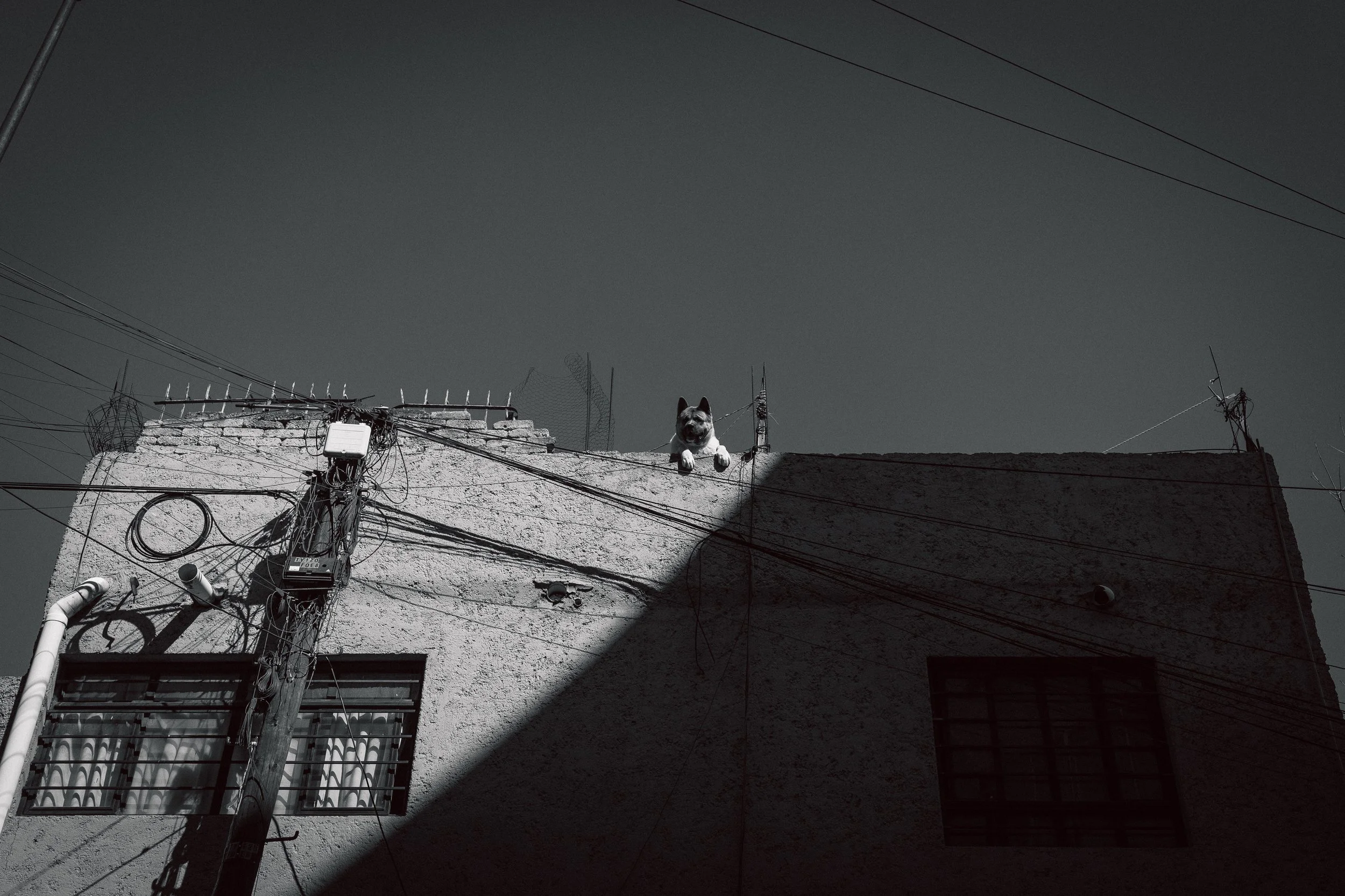 Noviembre CDMX-4Luz Montero.jpg