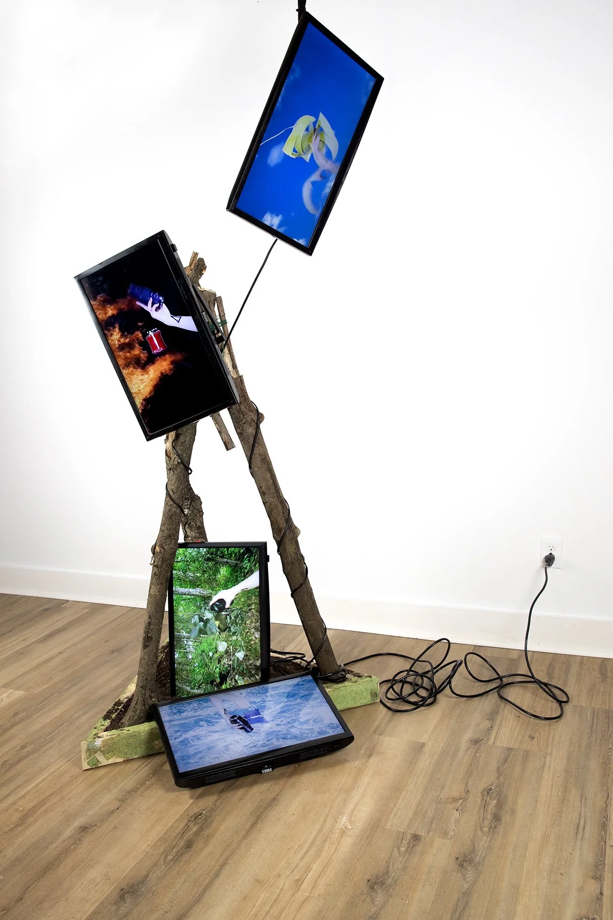 art installation of Phallic manifesting by Sonia Litynskyj