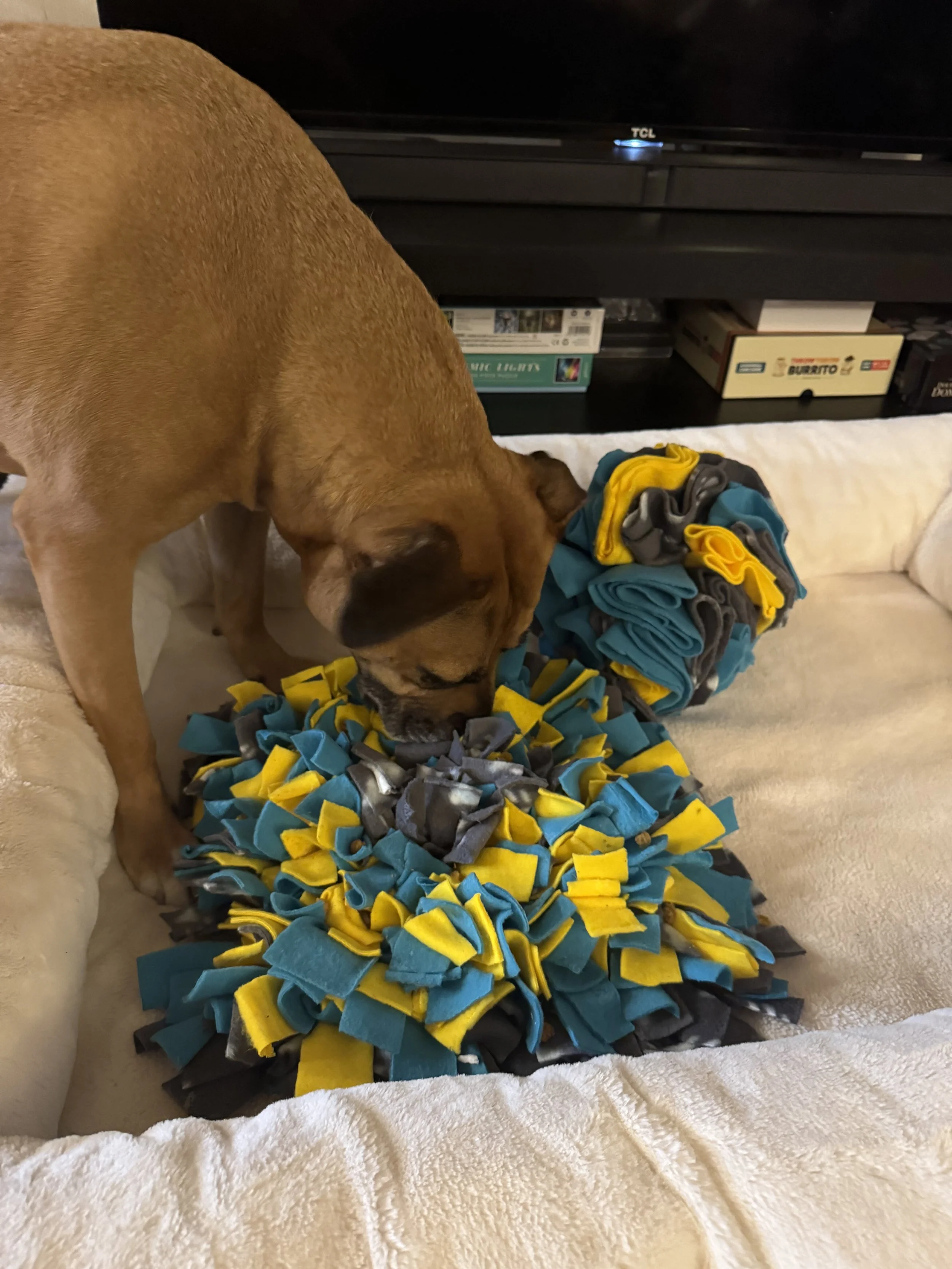 Dog sniffing a pile of colorful fabric scraps on a plush bed, with stacks of board games and a TV in the background.