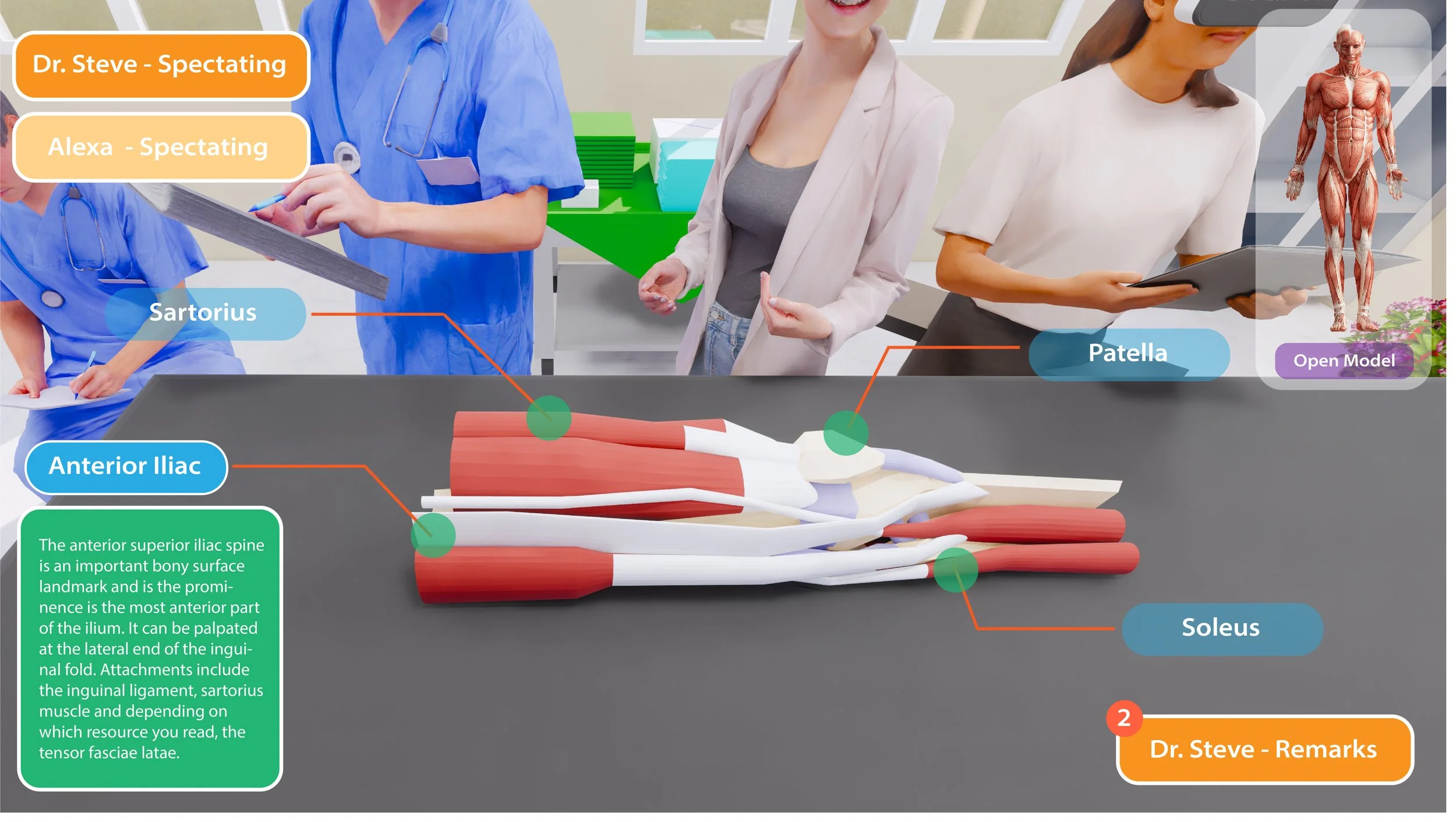 AR ANATOMY