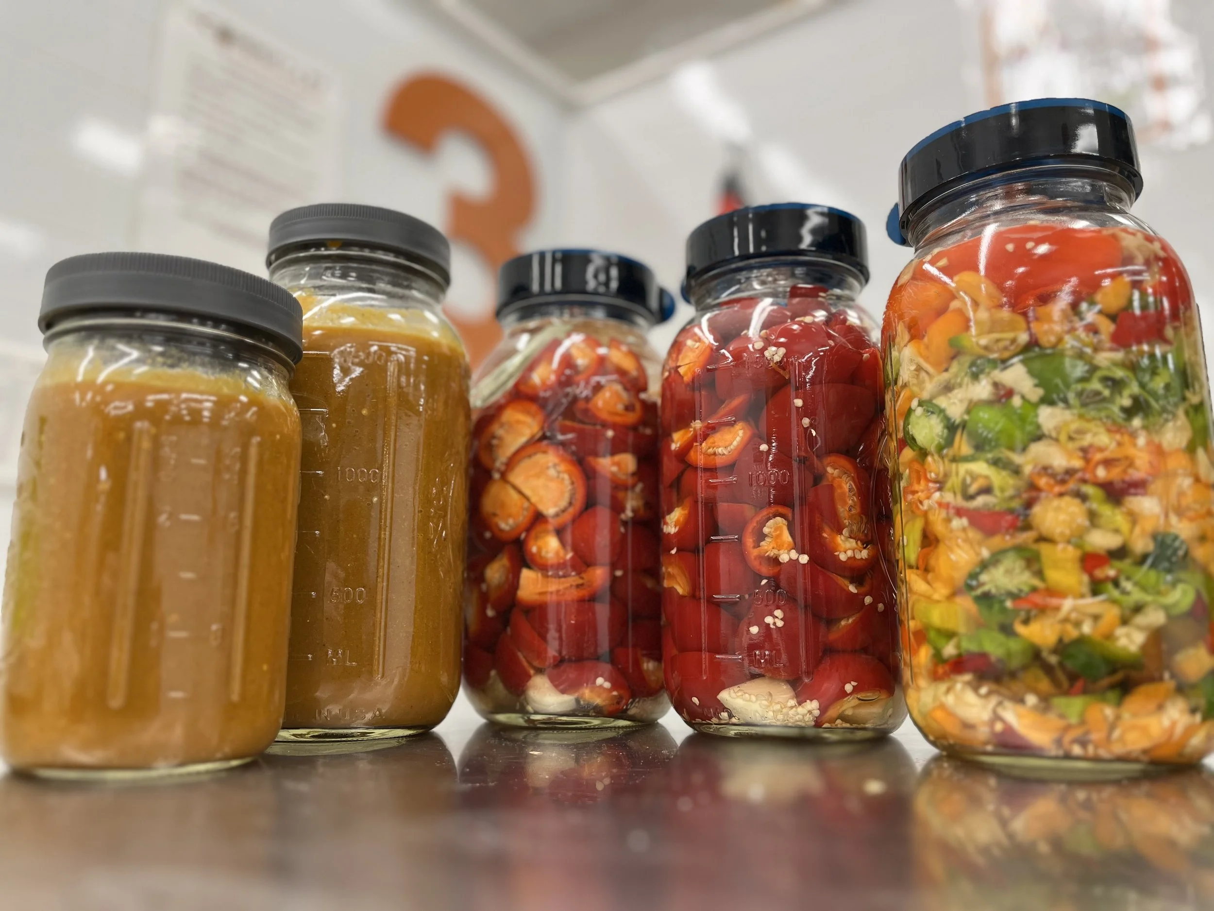 Ferm Labs | Discover Fermented Flavors - Shop Now