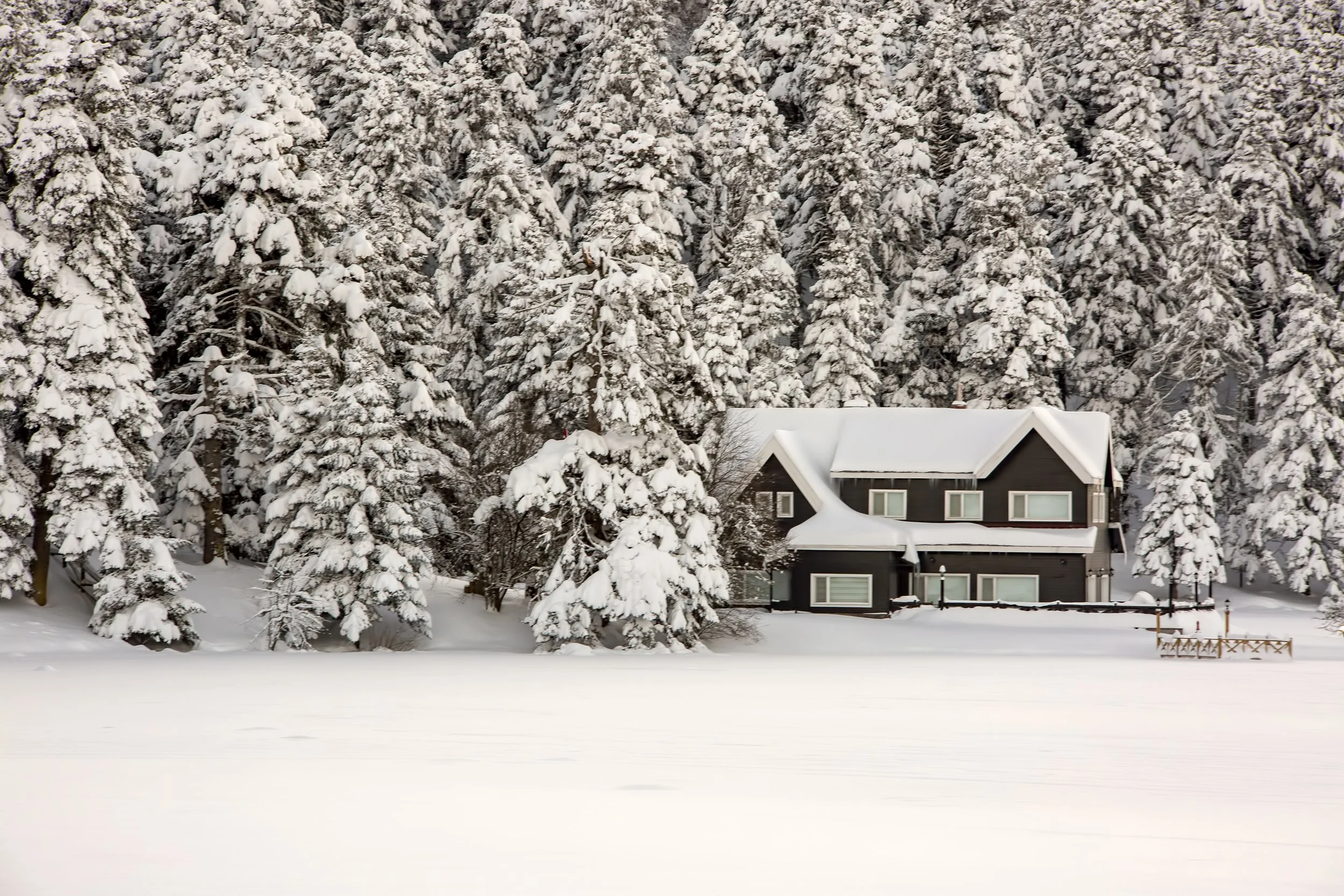 Why Home Watch Matters During Cape Cod Winters