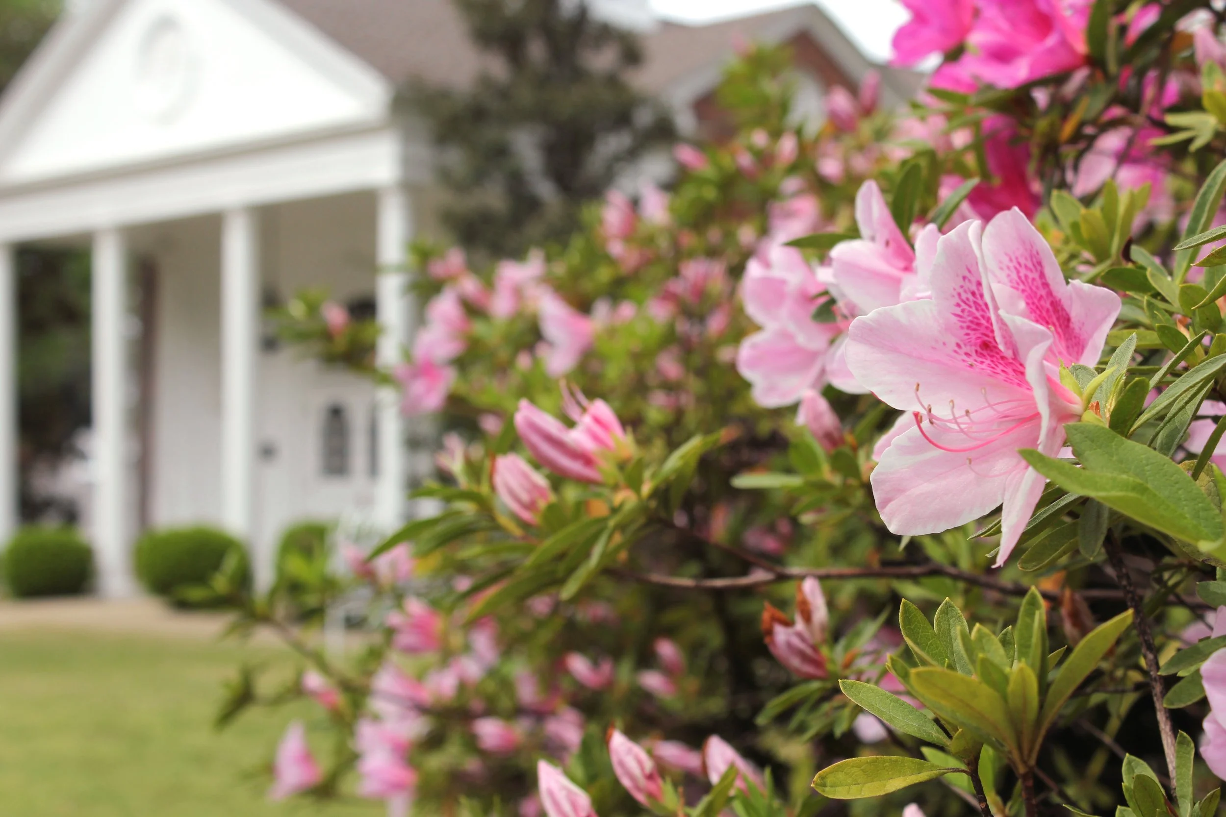 Getting Your Cape Cod Home Ready for Spring Storms
