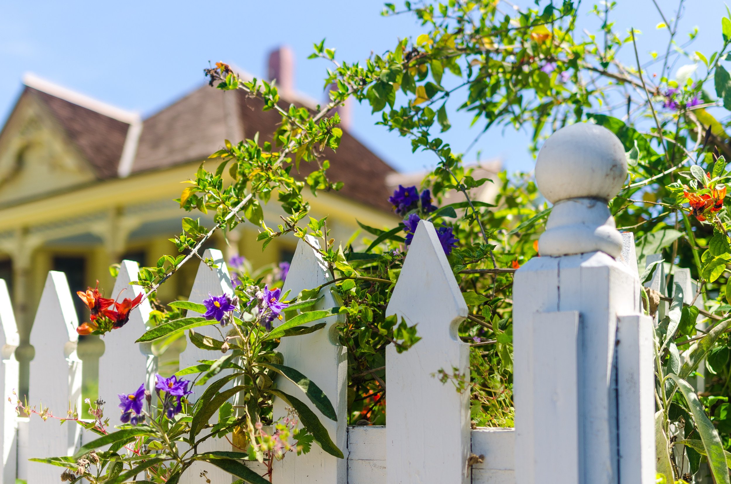 From Winter Wish List to Spring Project: How to Start